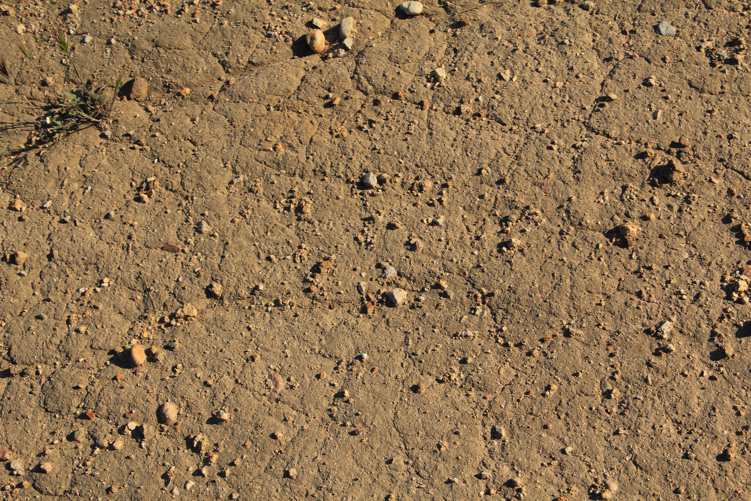 Texturex Dirt Rock Stone Ground Dirty Rough Path Walk City Texture