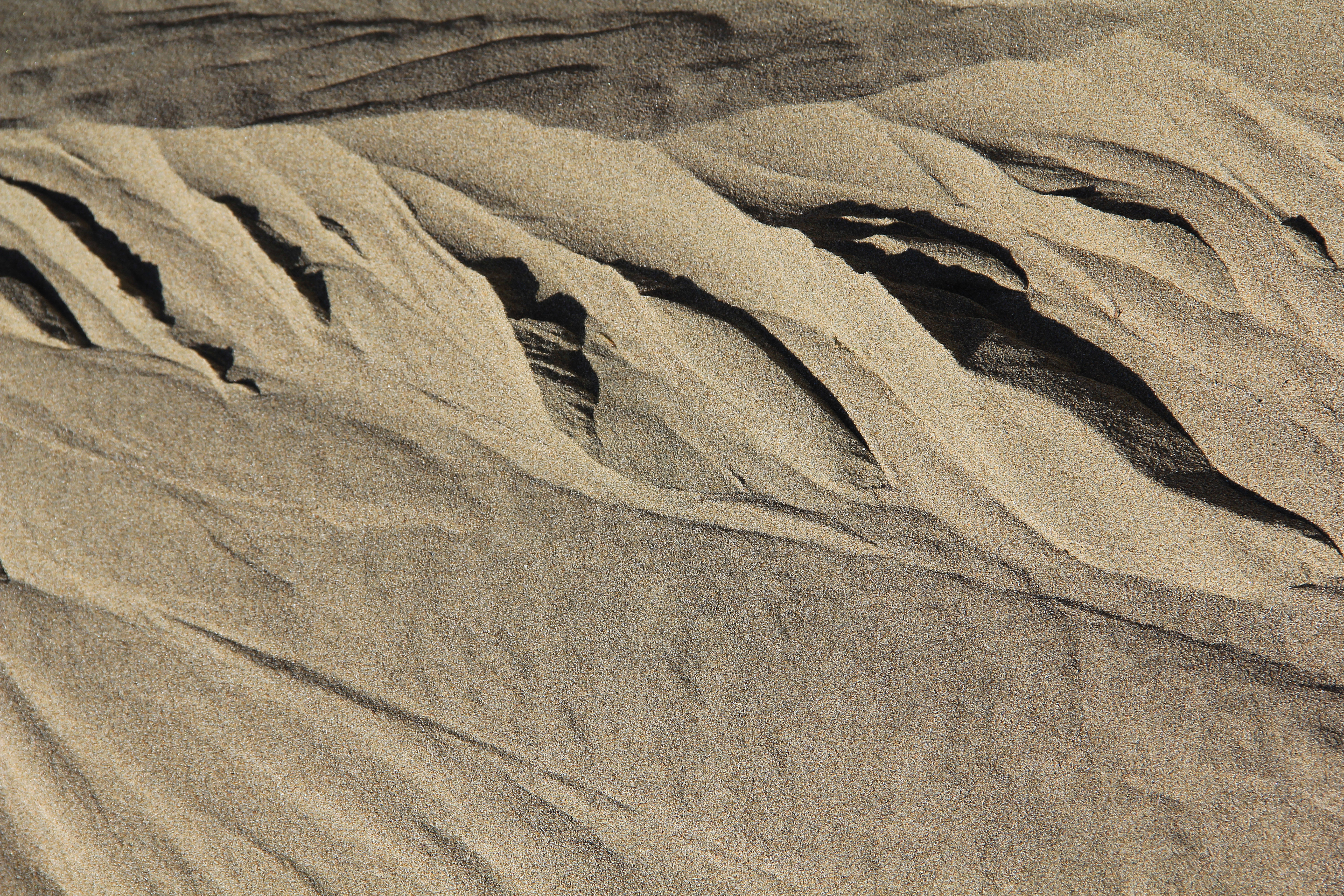 Texturex Sand Dune Texture Ripple Wind Sandy Dirt Soft White Beach Texture