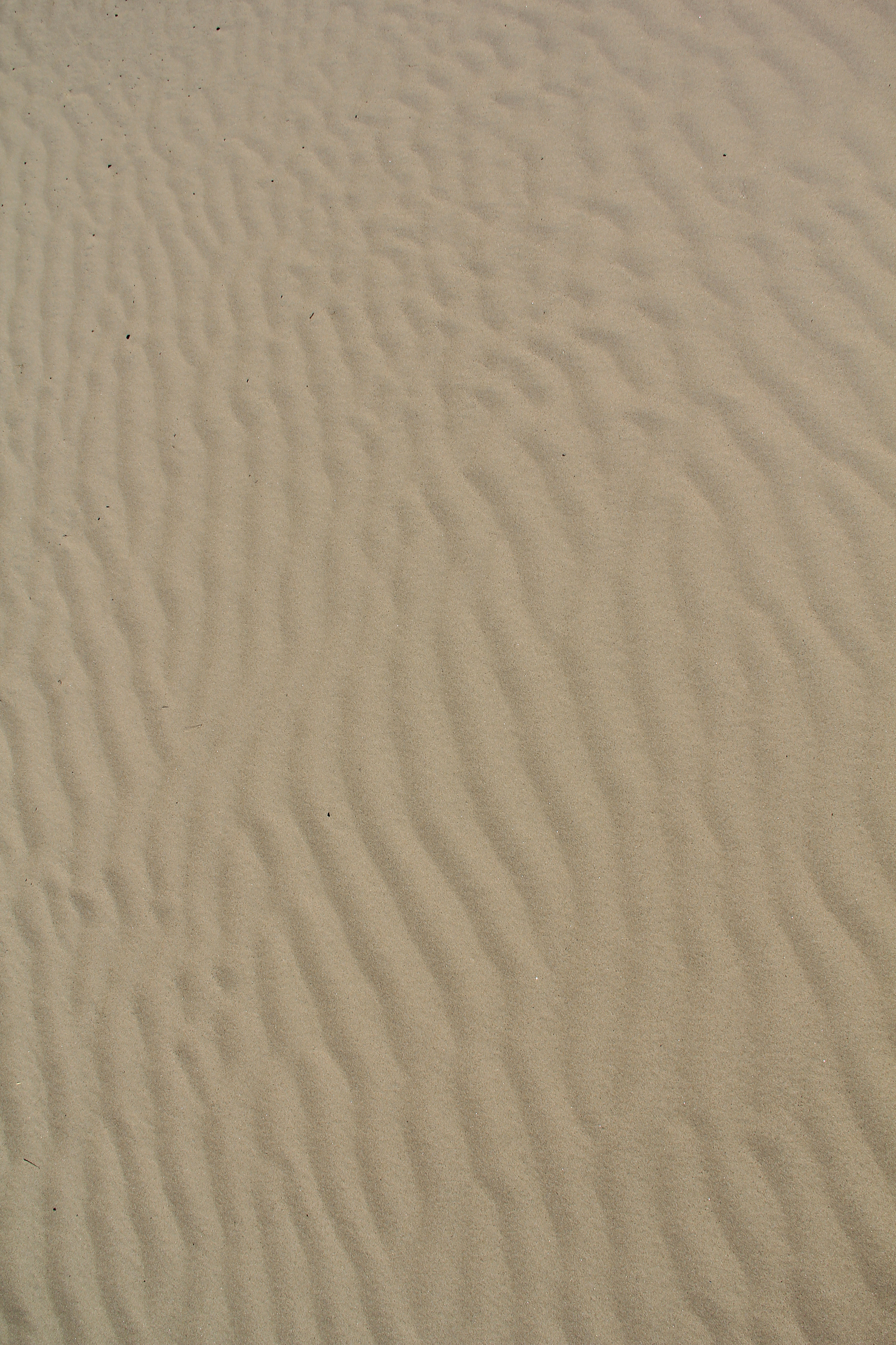Texturex Sand Ripple Texture Beach Dune White Sandy Texture