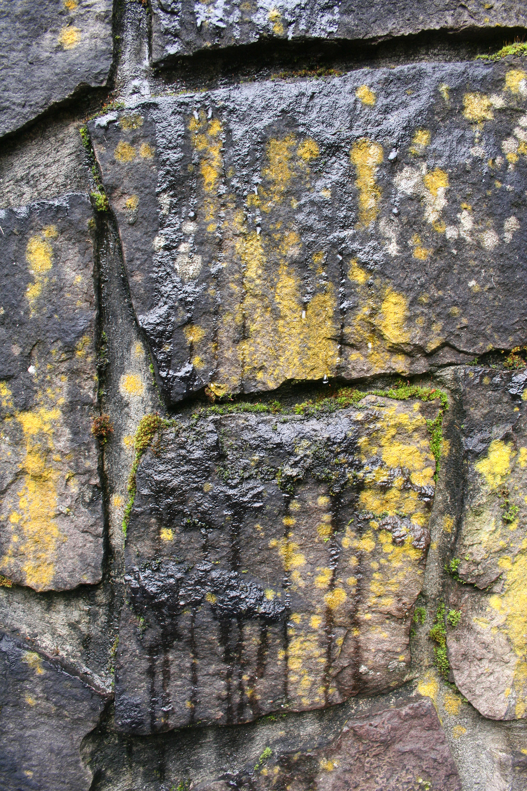 Texturex Stone Algae Dripping Wet Rock Moss Texture