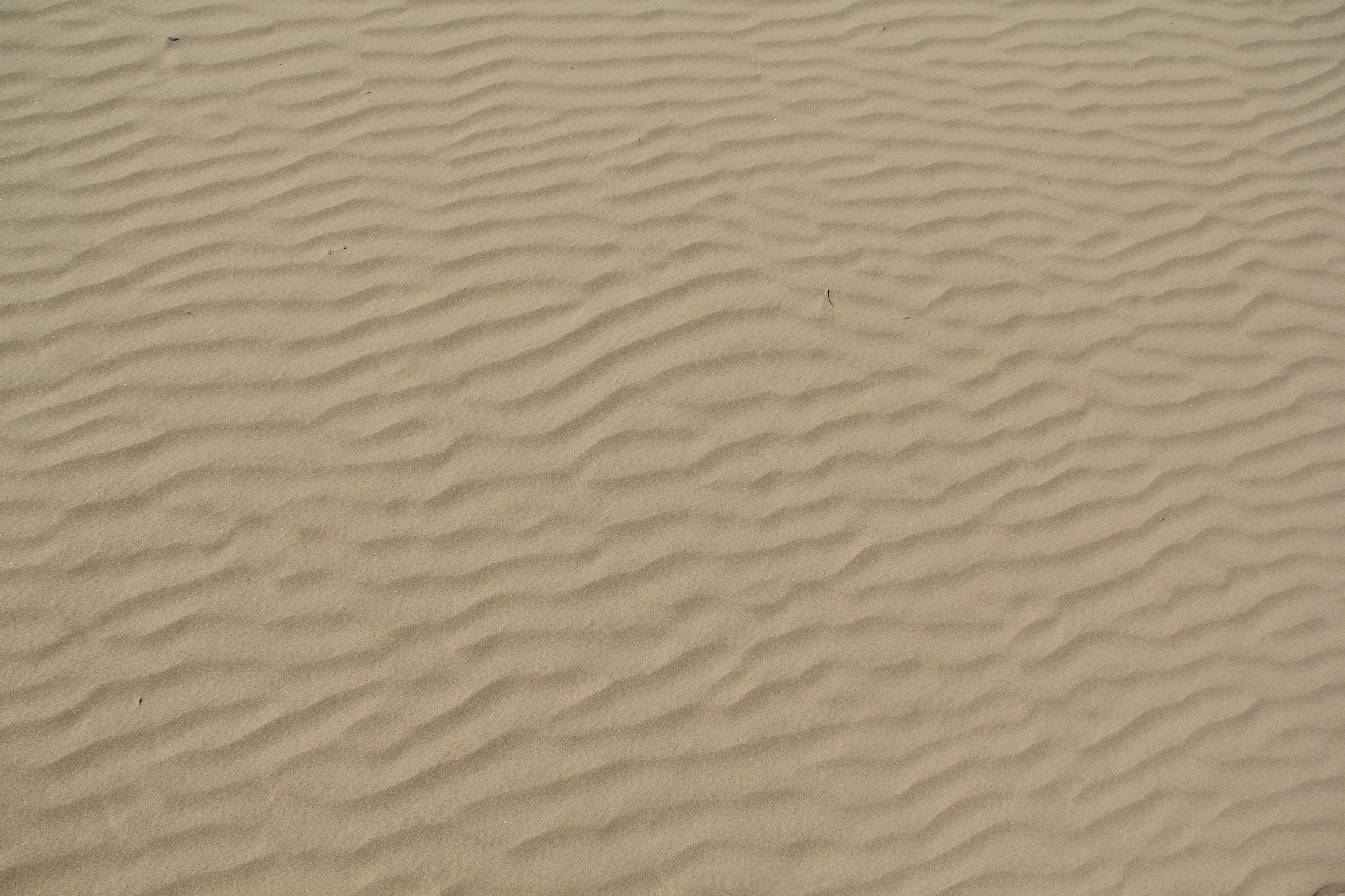 Texturex White Sand Texture Light Ripples Beach Dune Texture