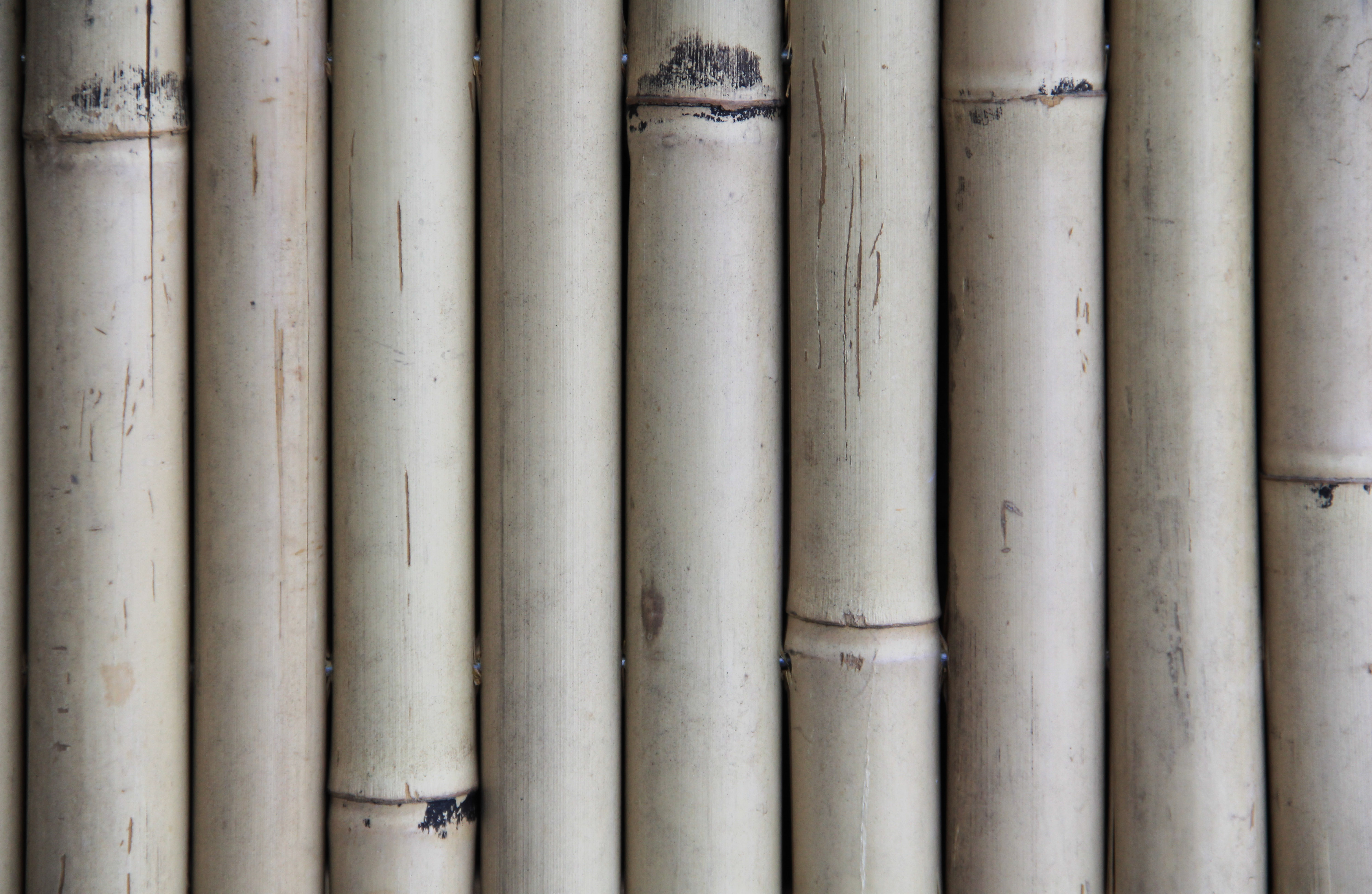 Bamboo Wood Texture Natural Shaft Fencing Wallpaper Photo