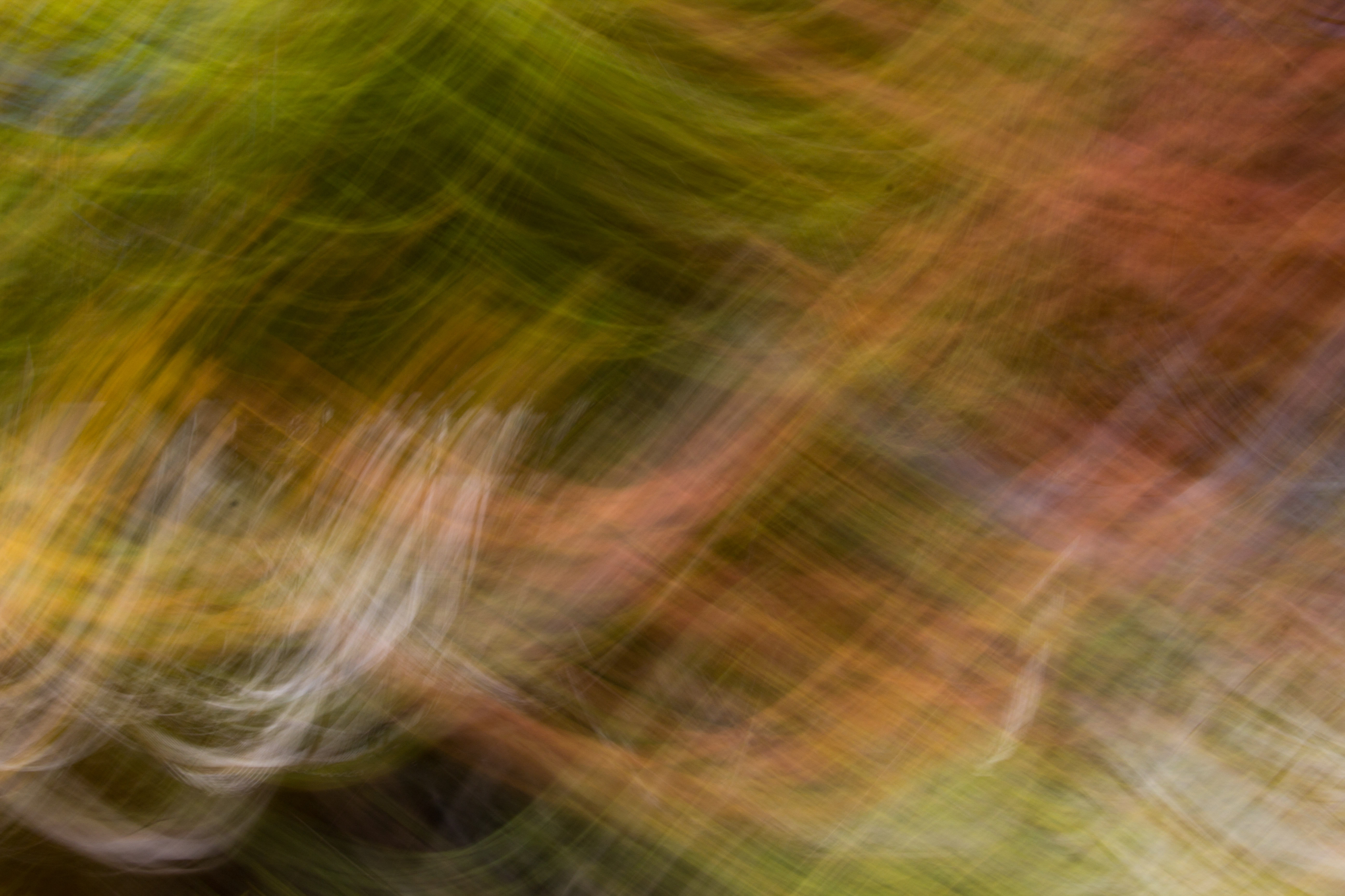Blur Texture Swirly Light Green Orange Natural Moving Desktop Background