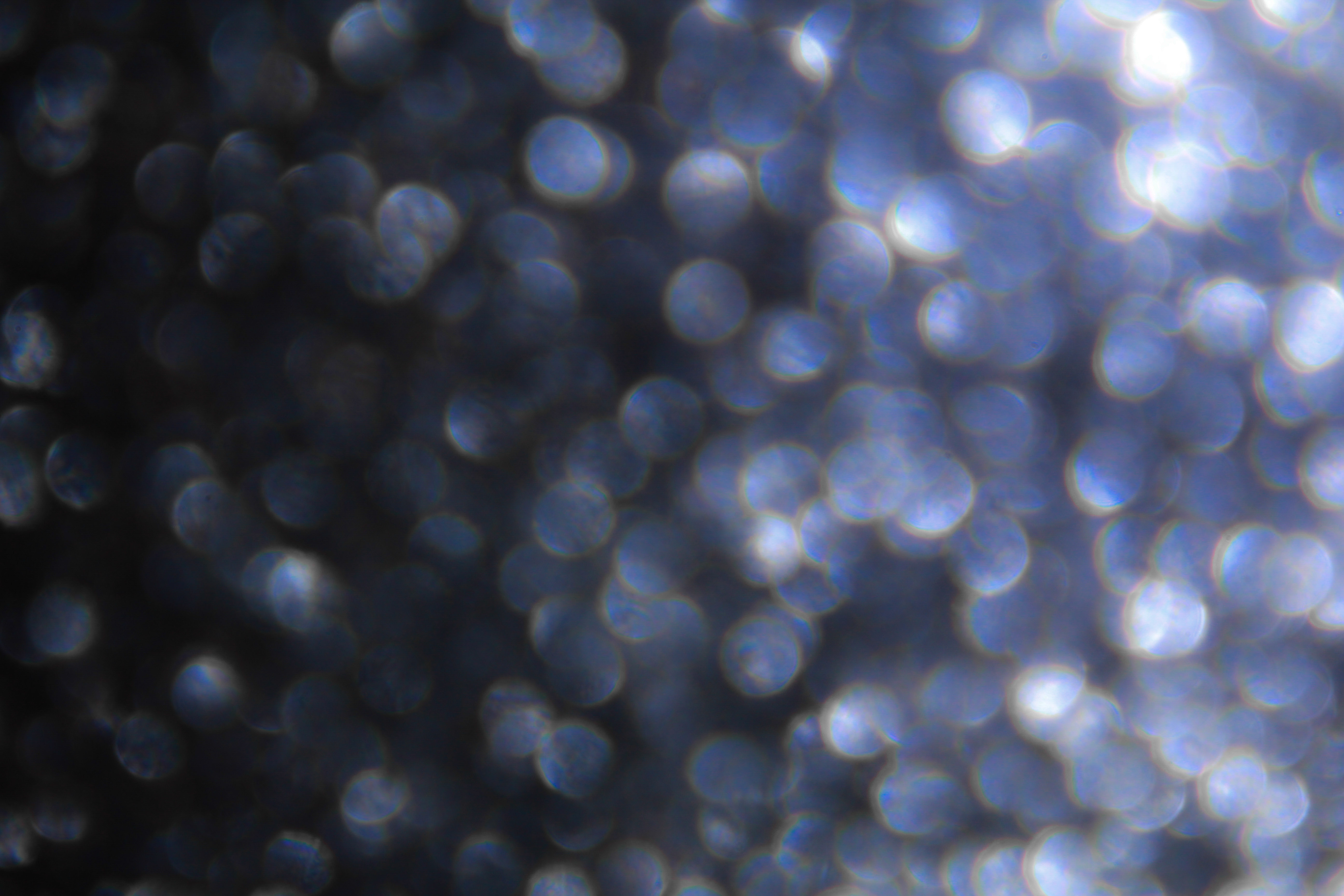 Bokeh Texture Blurry Light Fuzzy Glow Glitter Image