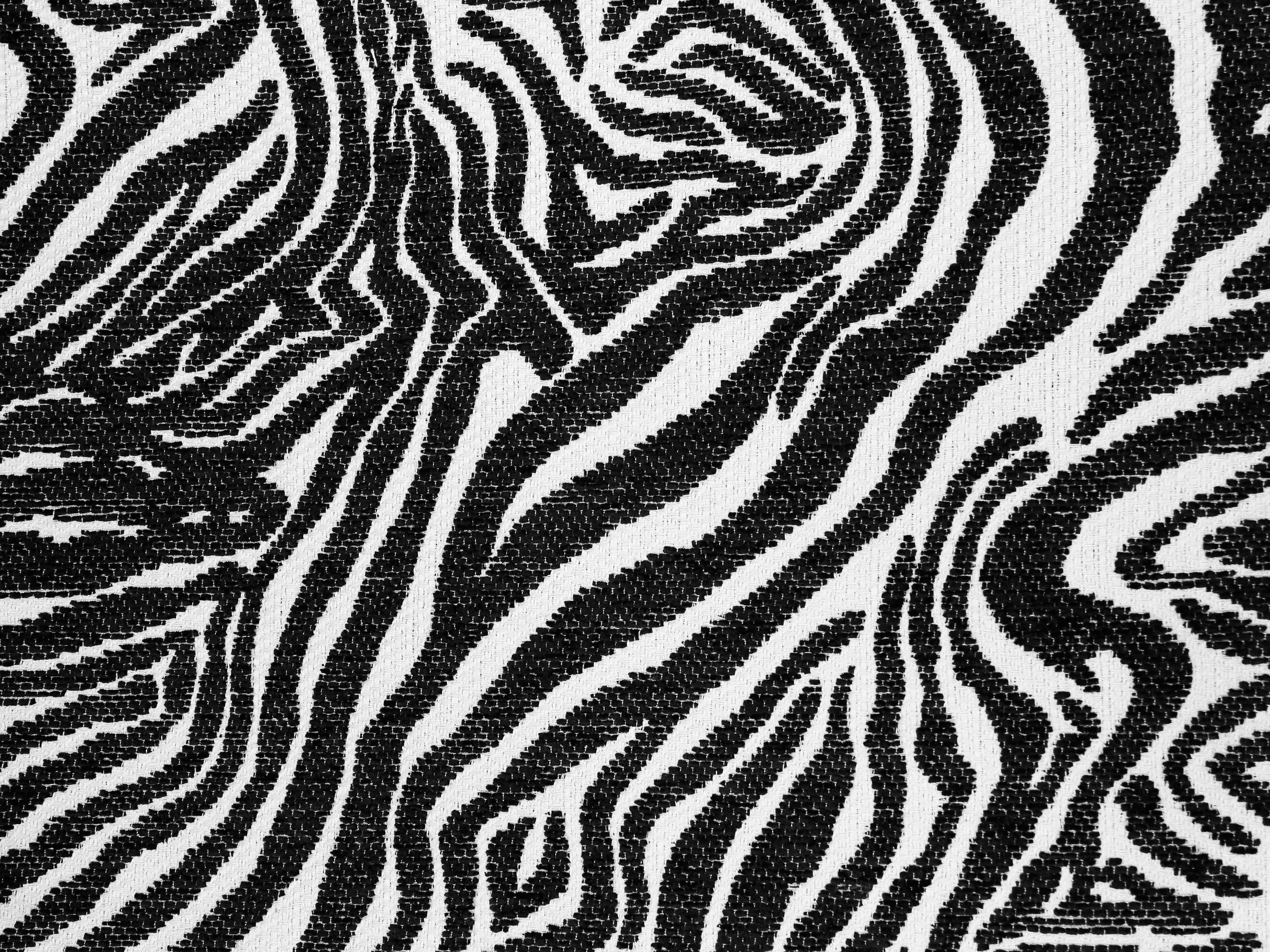 Fabric Texture Zebra Print Cloth Design Black White Stripes