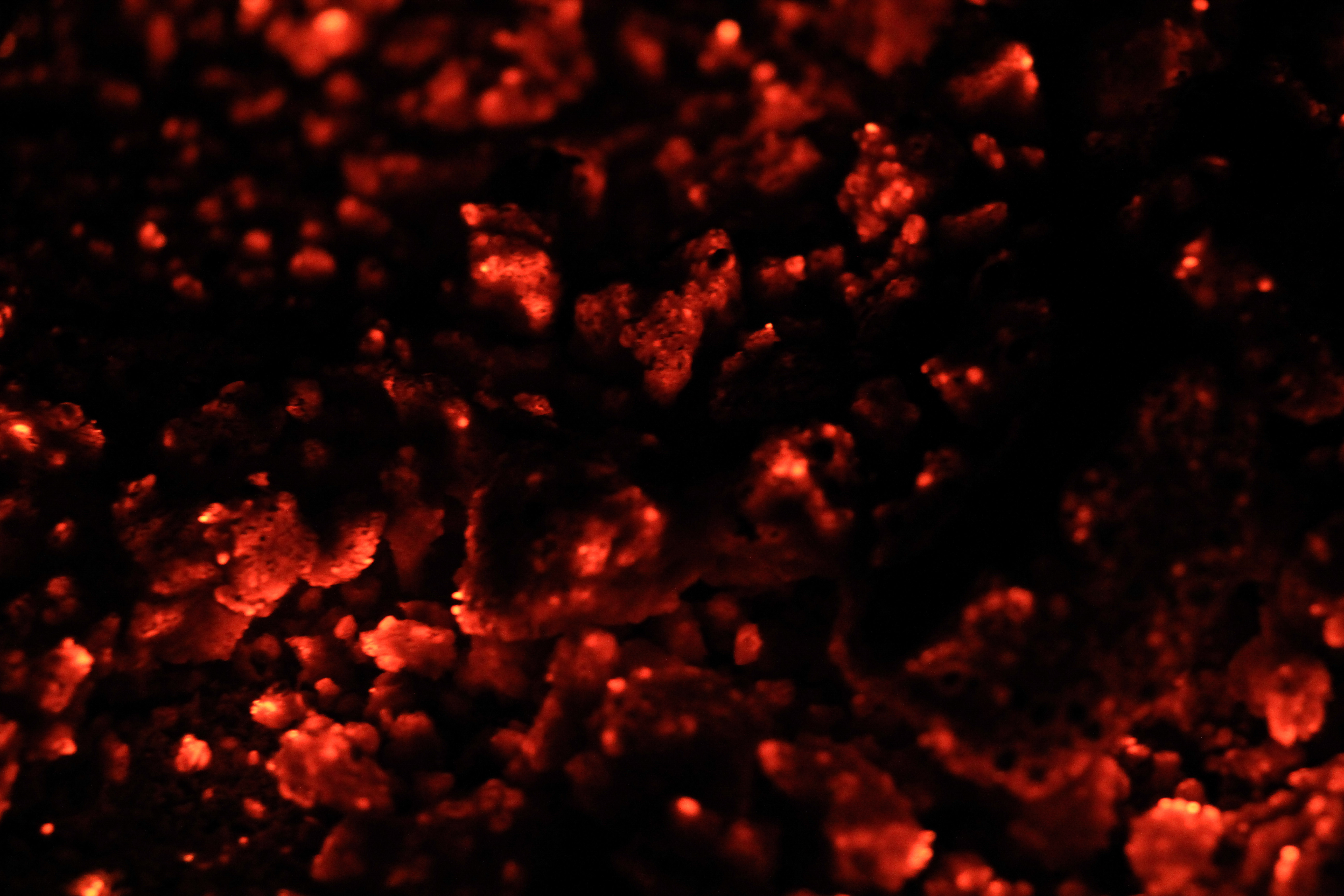 Fire Texture Coals Red Hot Orange Glowing Dark Wallpaper