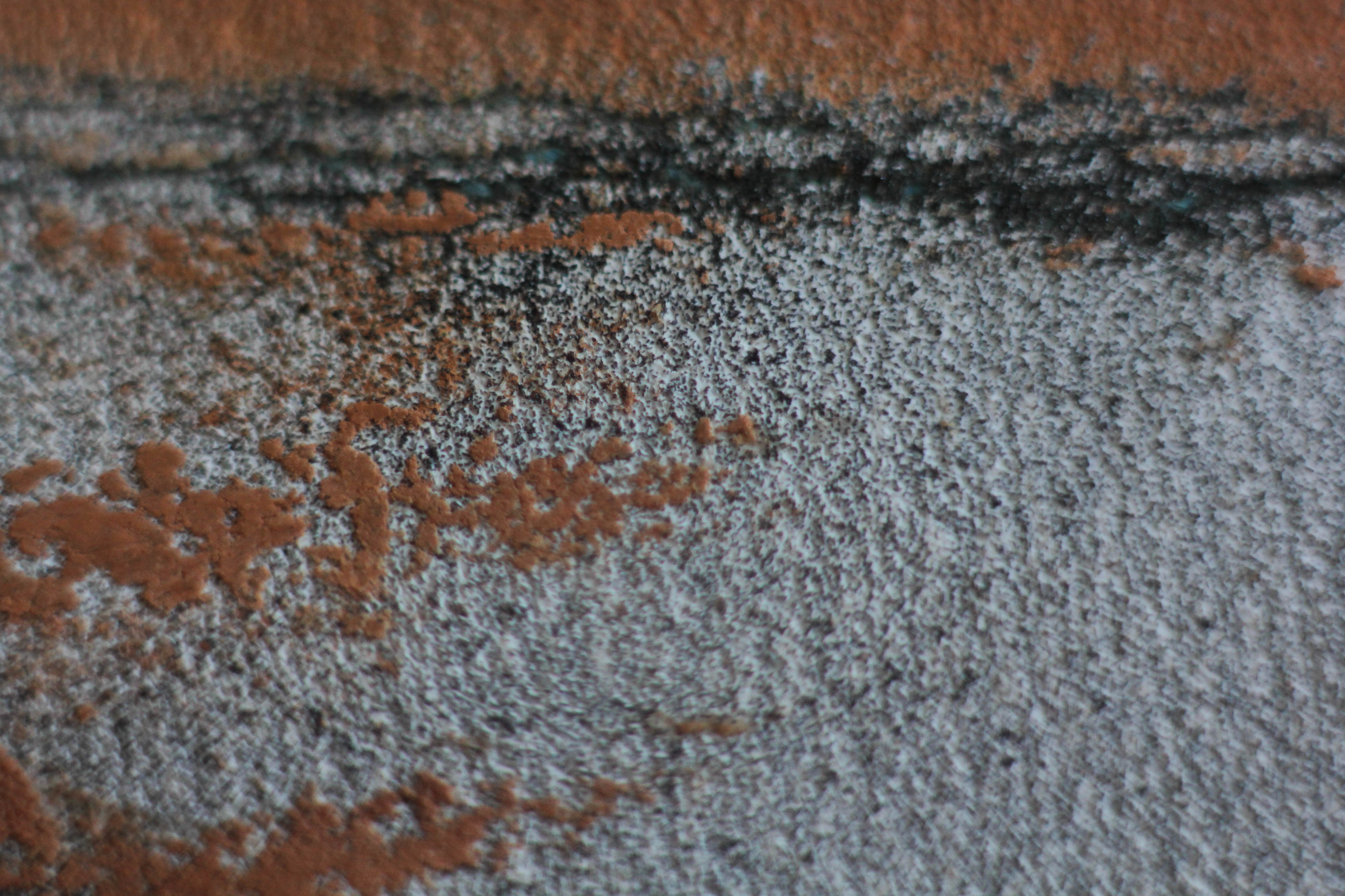 Free Grunge Texture Rough Black White Orange Stock Photo