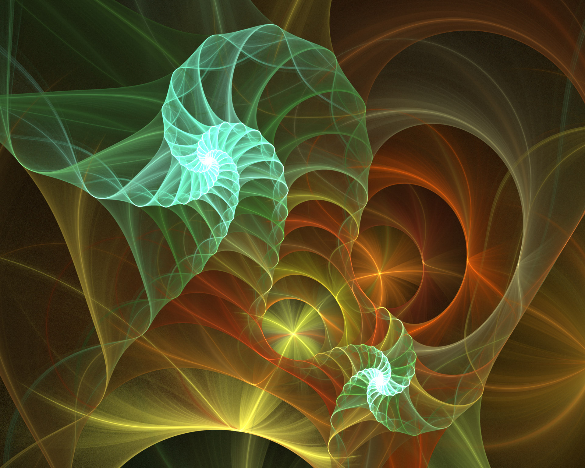 Free Image Wallpaper Definition Picture Design Stock Art Shell Spirals Texture