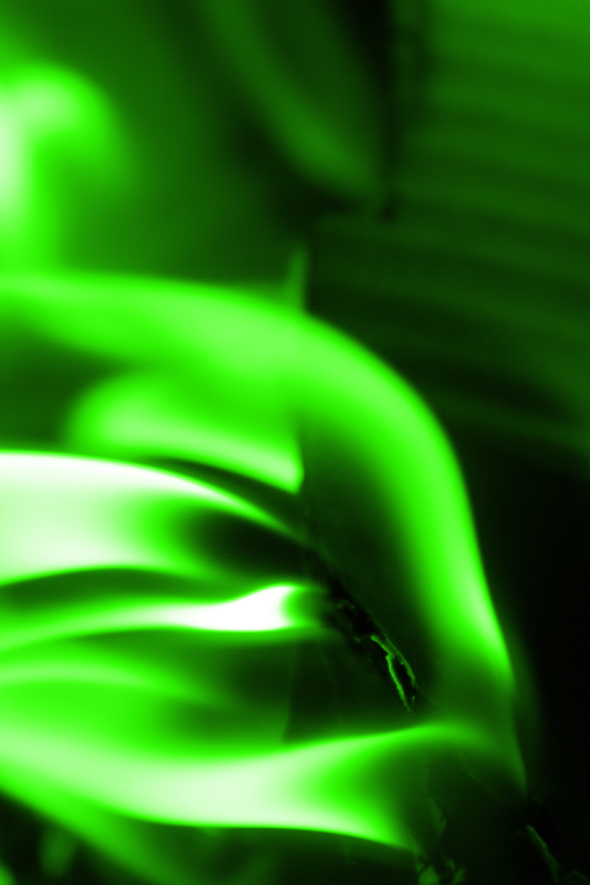 Green Fire Photo Copper Magnesium Burn Flame Paper Stock