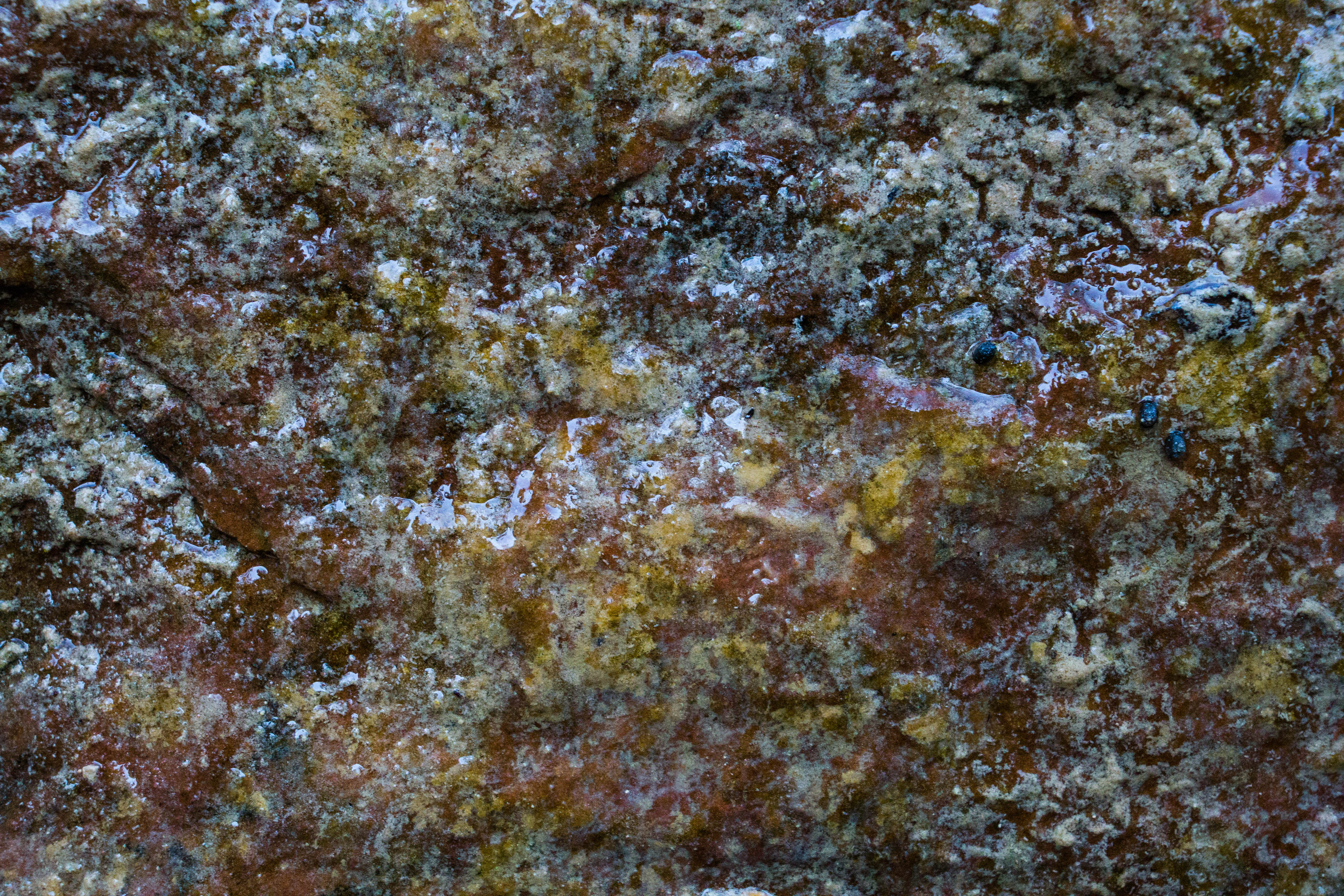 Grime Texure Slimy Grunge Buildup Gross Filthy Stock Photo