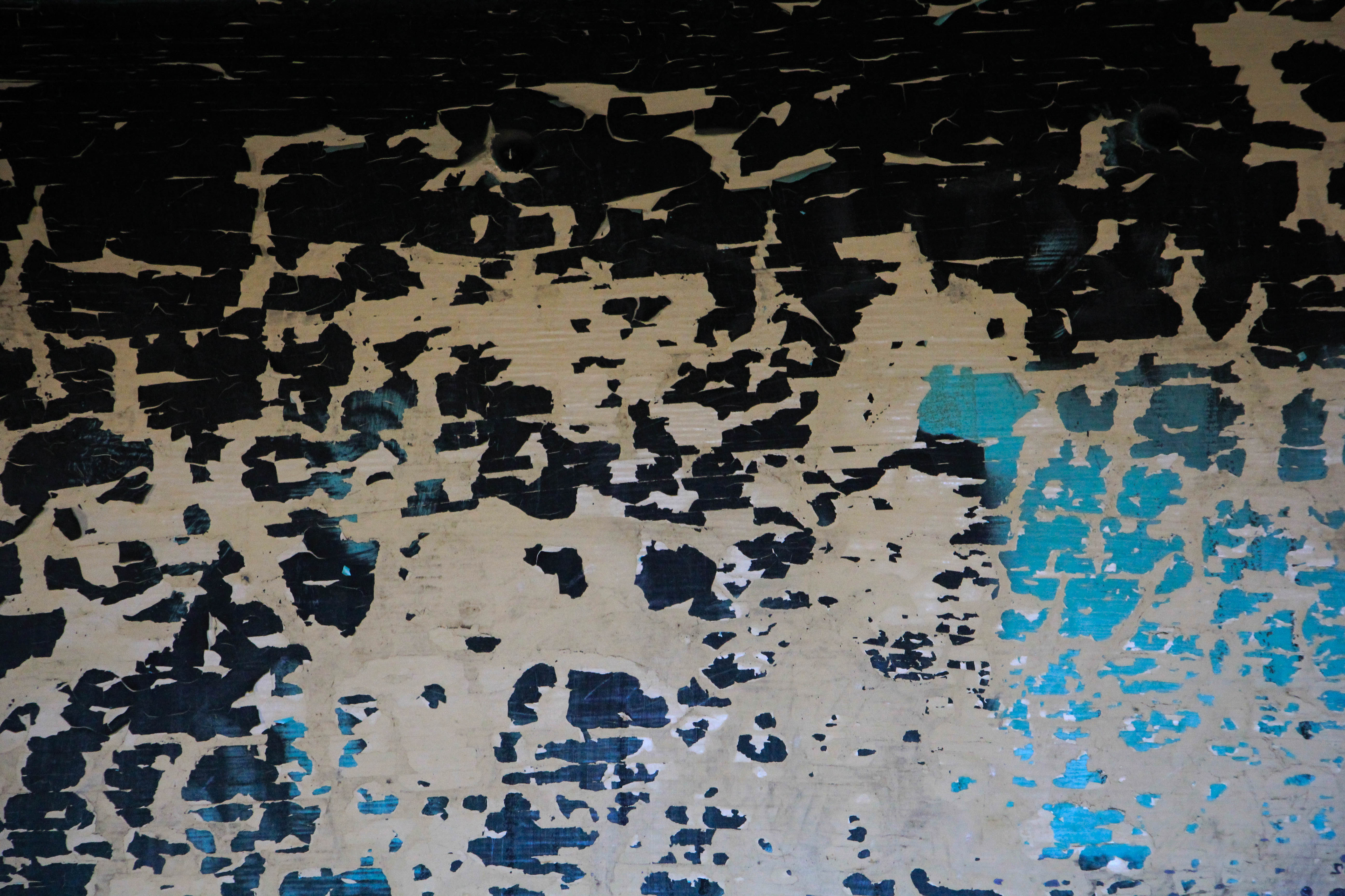 Grunge Texture Chipped Paint Cracked Sluff Dirtyblack White Grungy Photo