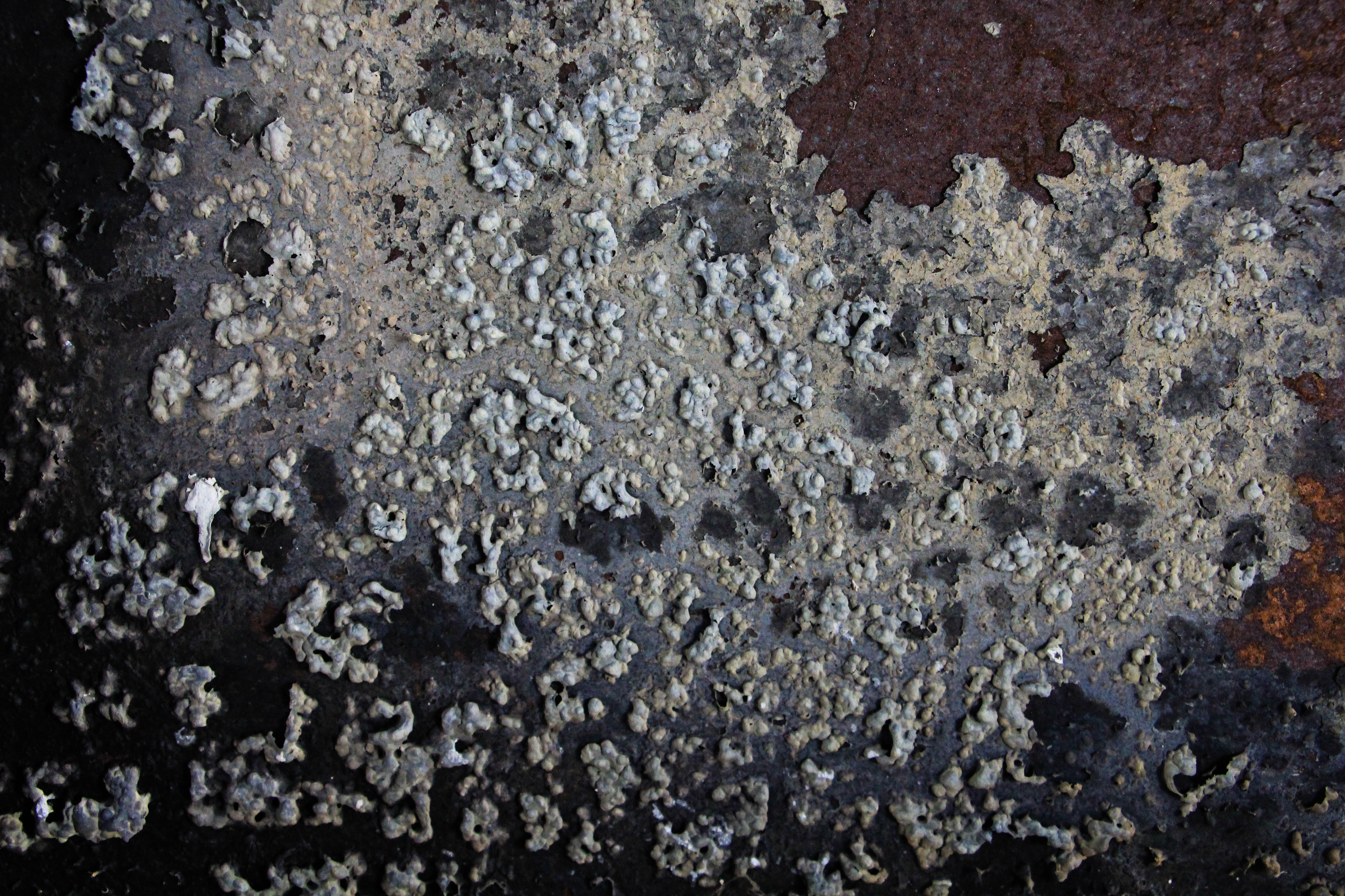 Grunge Texture Filthy Metal Fire Scorched Door Paint Bubbling Spotted Speckled Rust