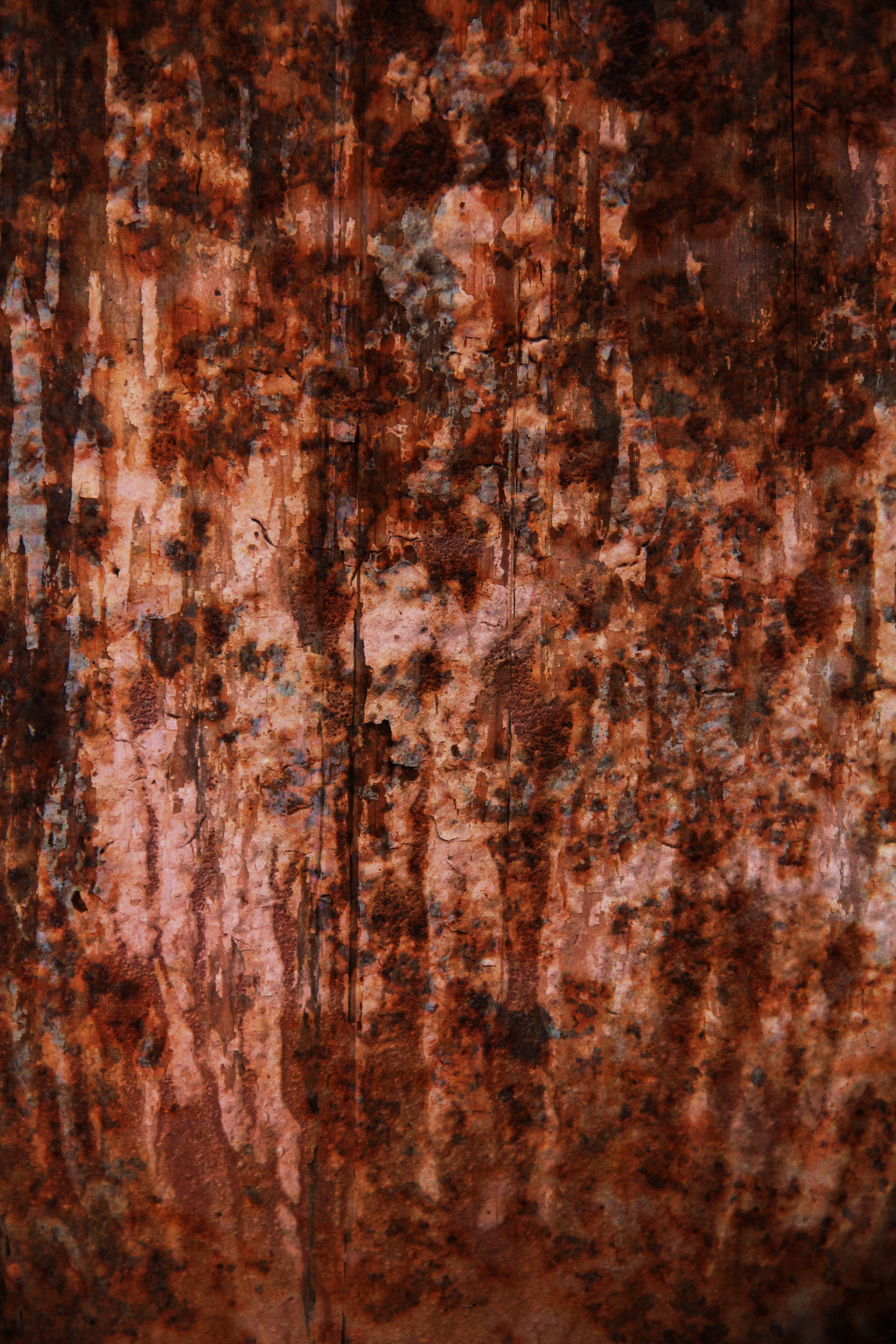 Grunge Texture Horror Ugle Rough Surface Background Red Rust