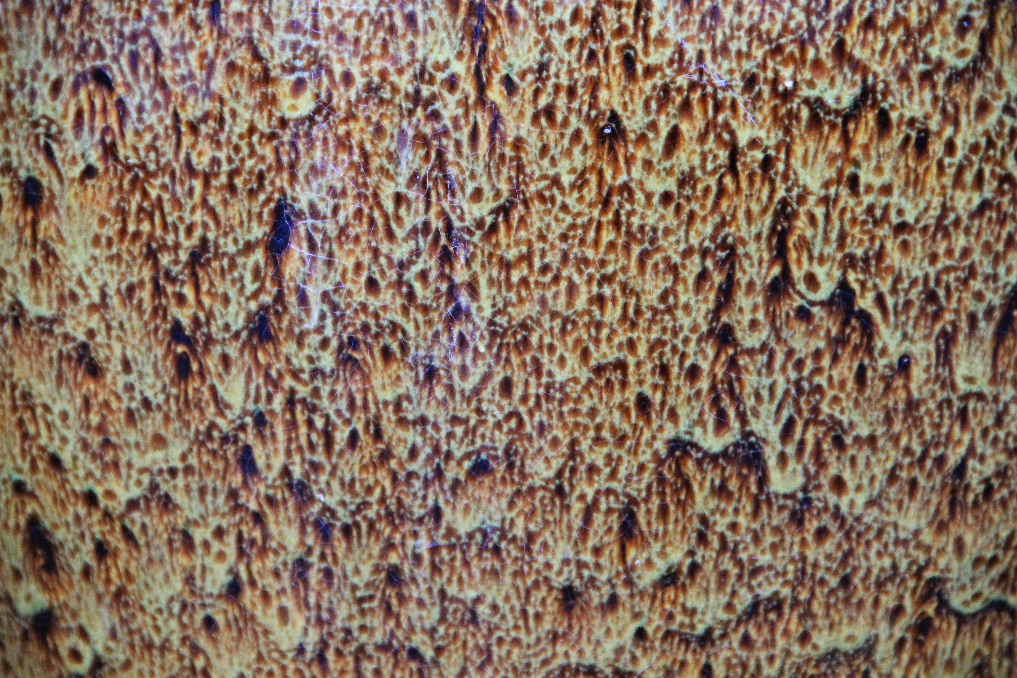 Grunge Texture Molted Effect Red Lava Glazed Paint Smooth Surface