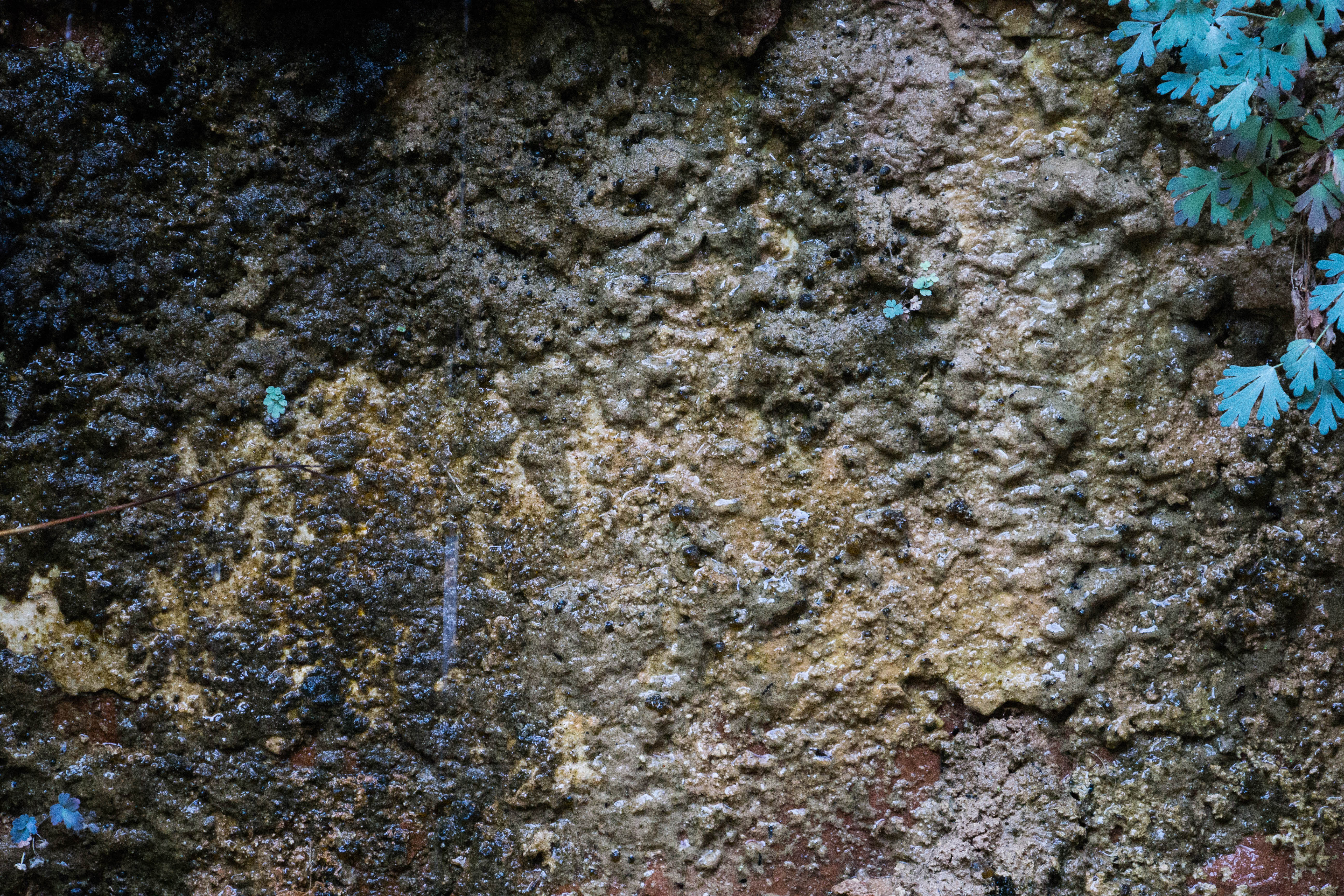 Grunge Texture Natural Buildup Stone Granite Leaf Grime Filthy Wall Photo