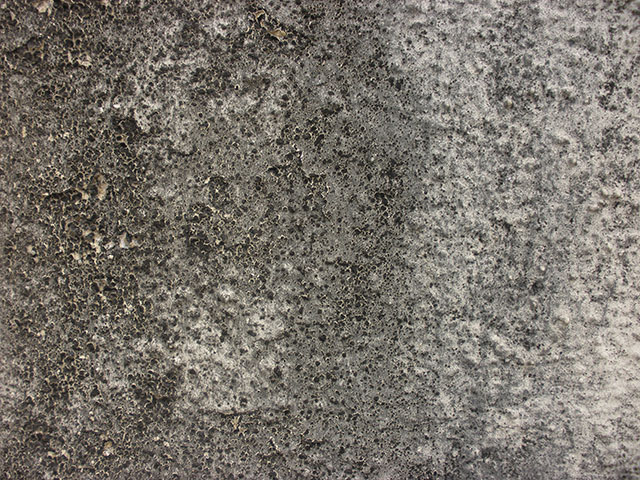 Grunge Texture Organic Detail Surface Wall Growth Dirty Grungy Wallpaper