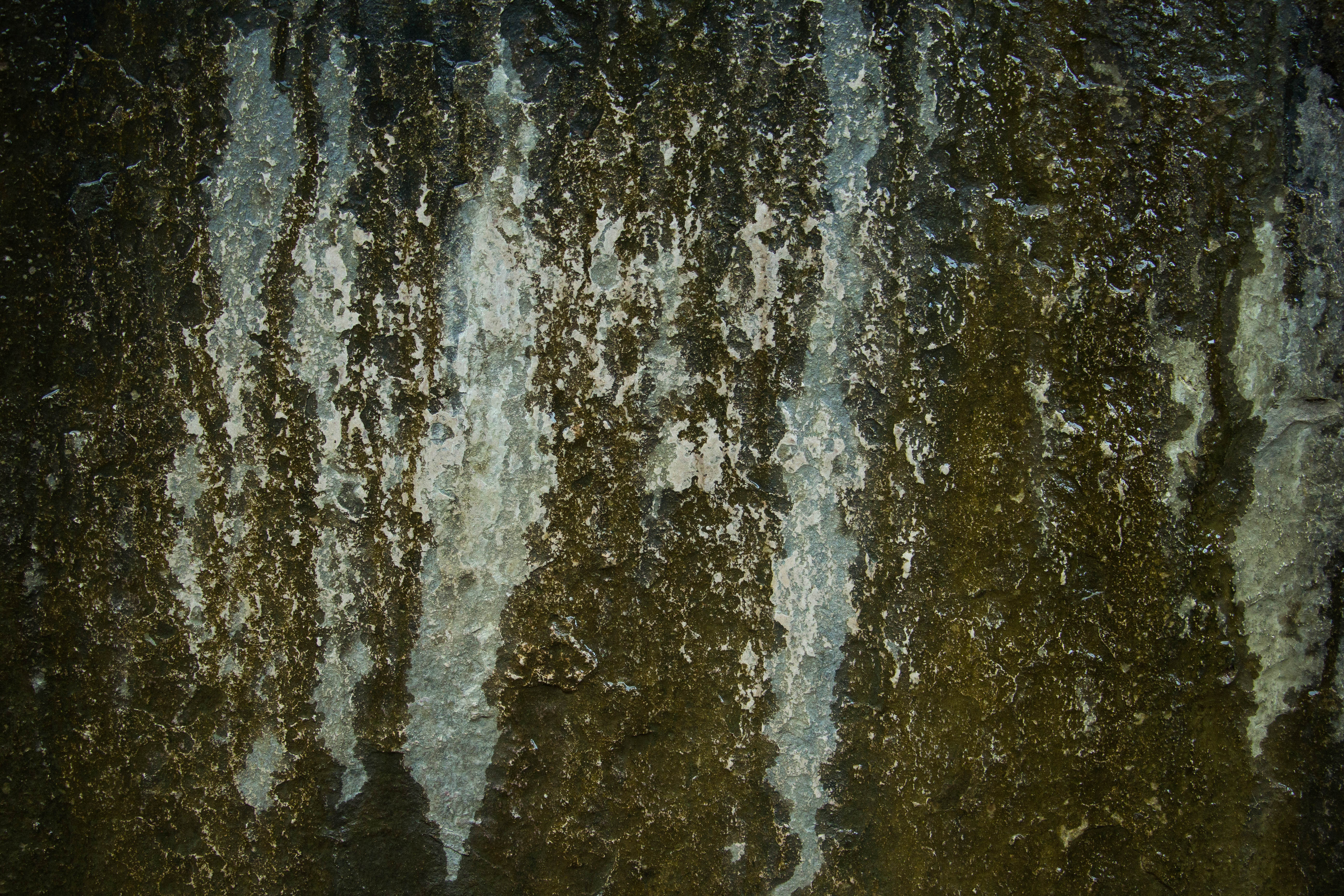 Grunge Texture Scratched Rock Damaged Algea Green White Rock Wall Stock Photo