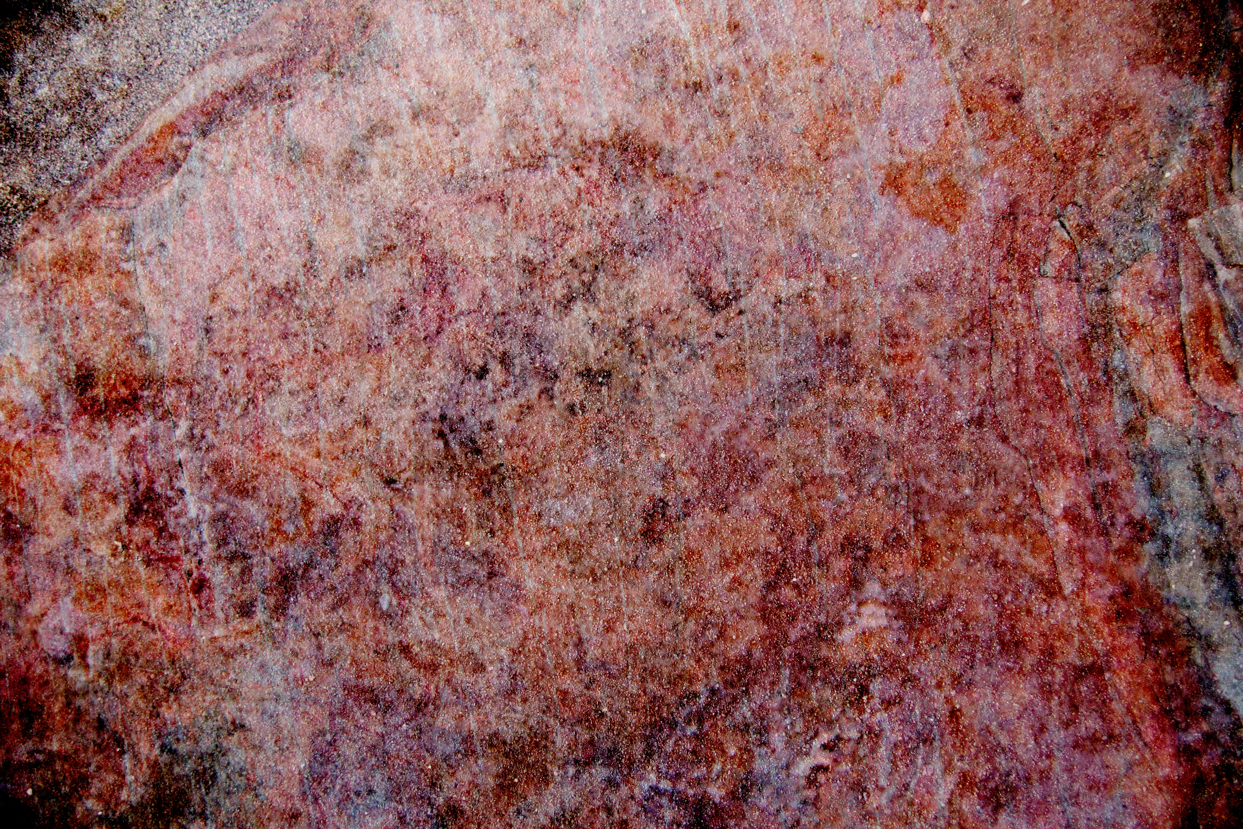 Grunge Texture Ugly Gross Surface Red Spotted Wallpaper Photo