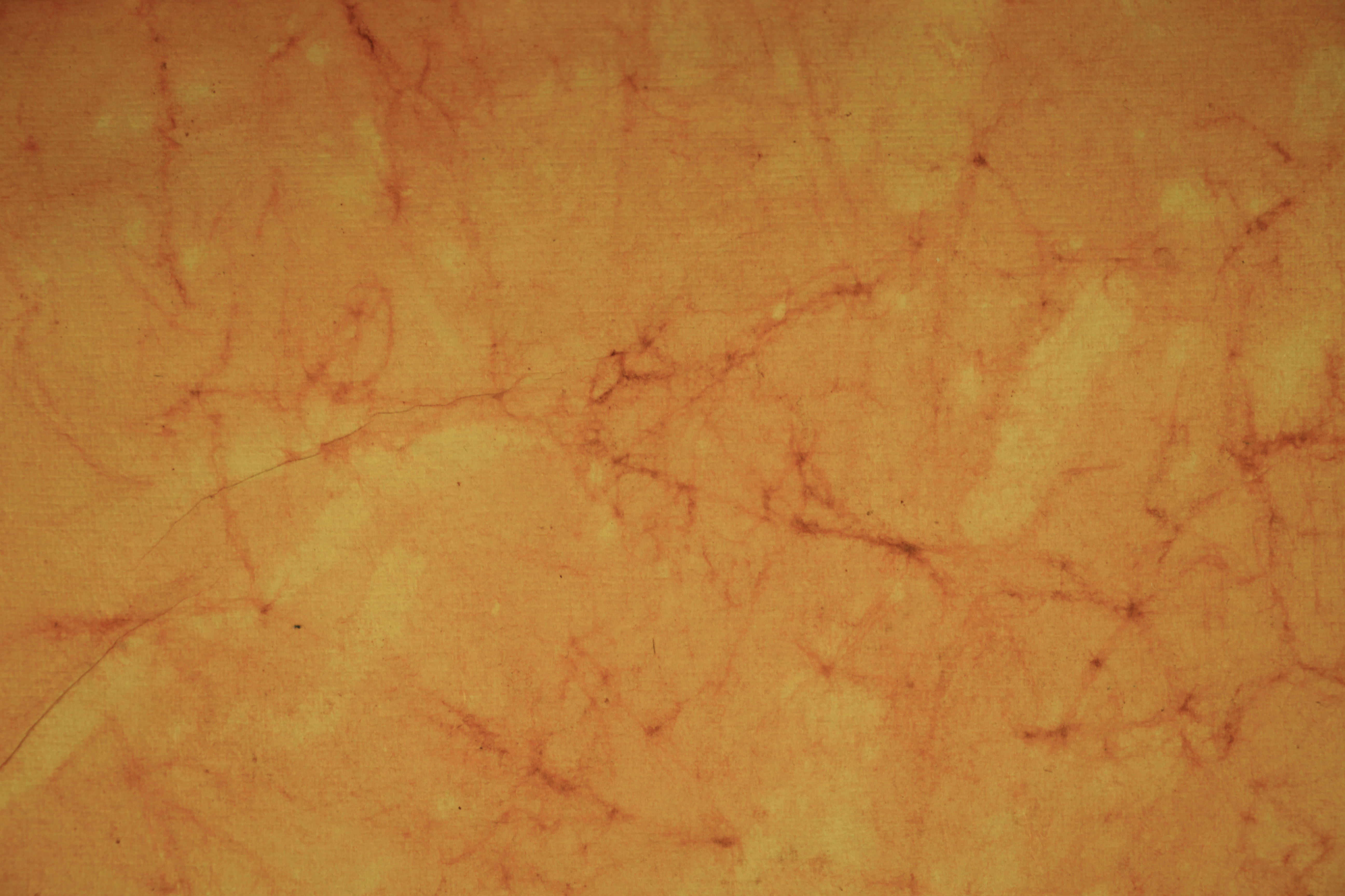 Hand Made Paper Texture Photo Orange Pulp Visible Grain Web