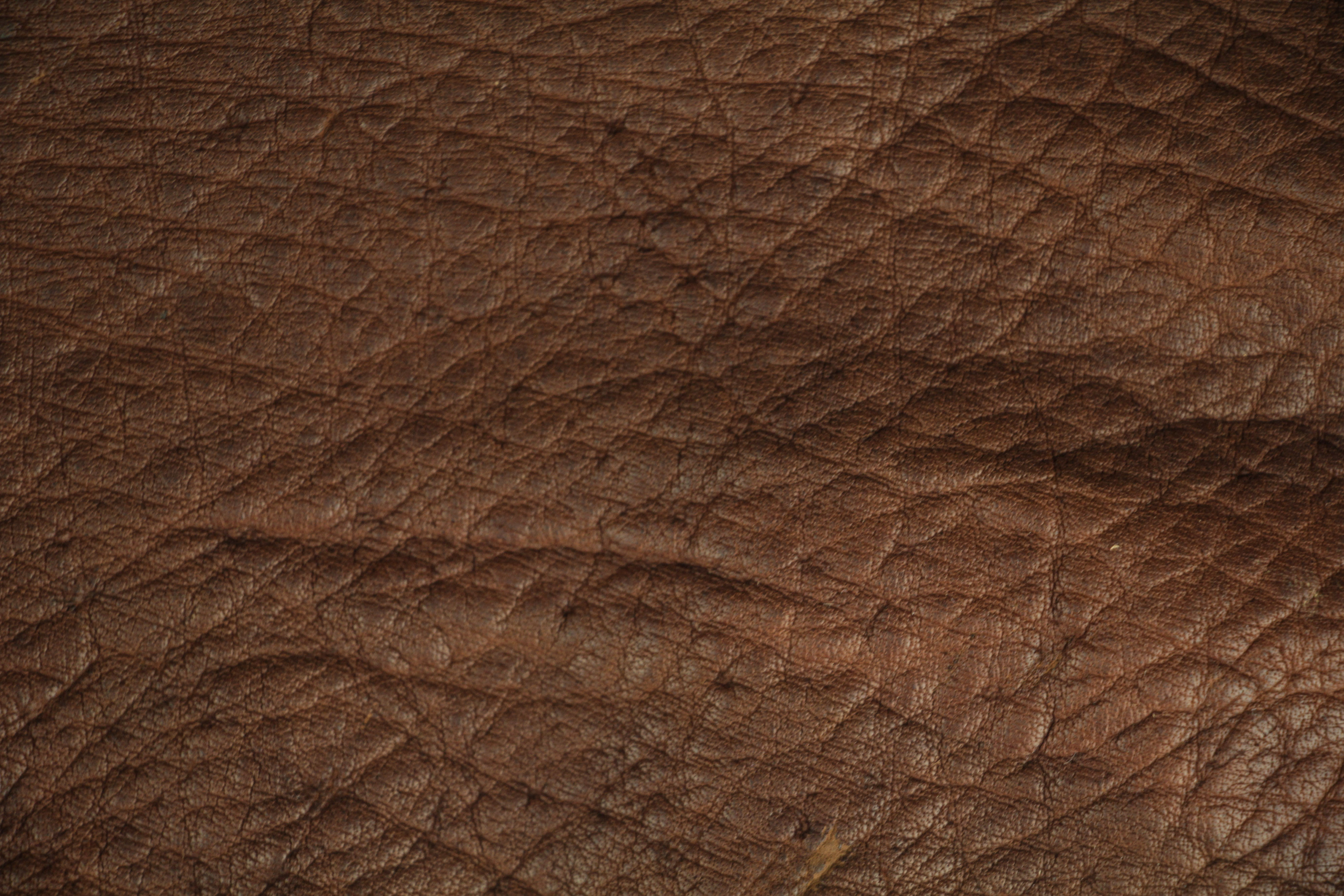 Leather Texture Close Up Soft Brown Materal Wallpaper Wrinkled