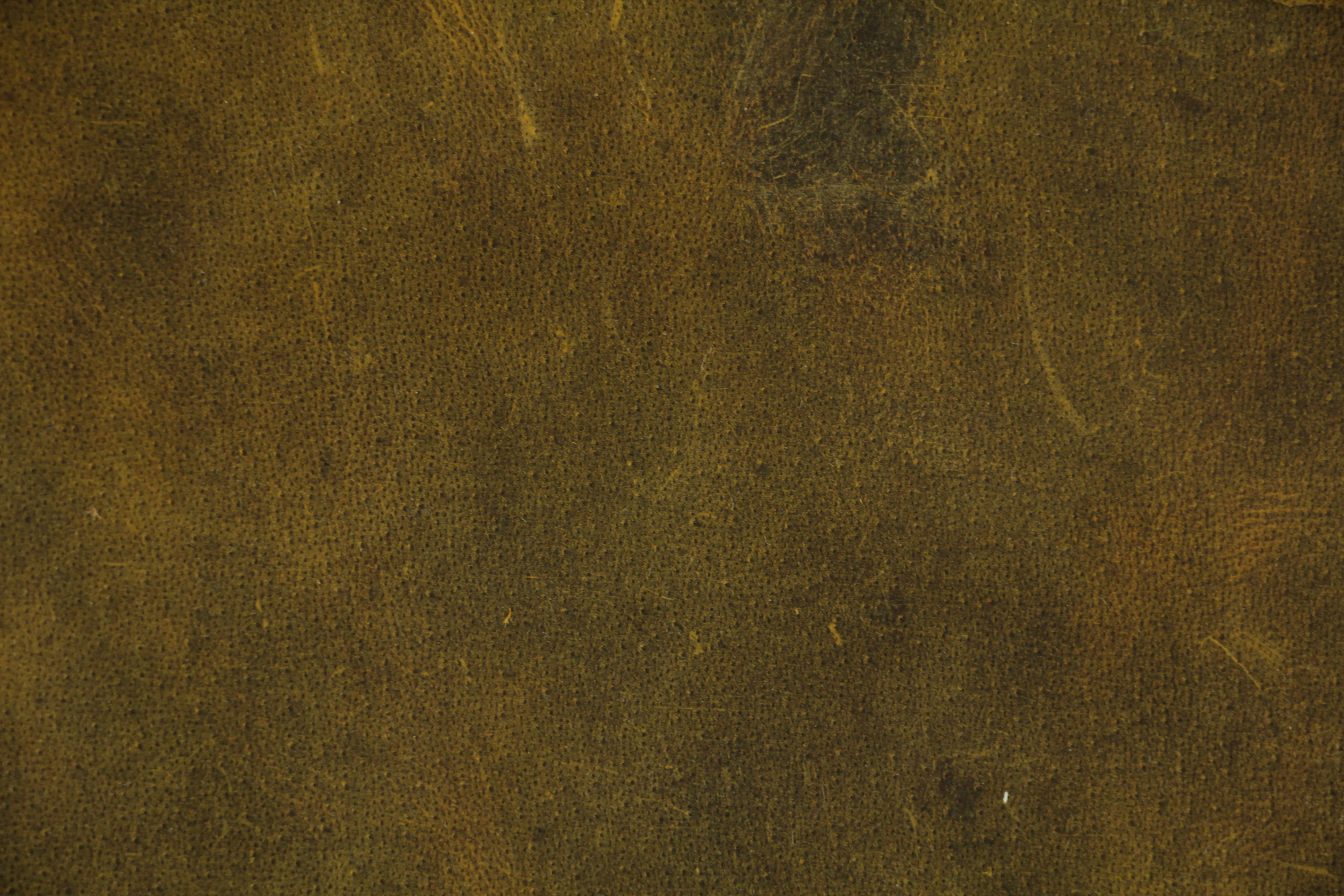 Leather Texture Light Brown Scratched Grunge Stock Wallpaper