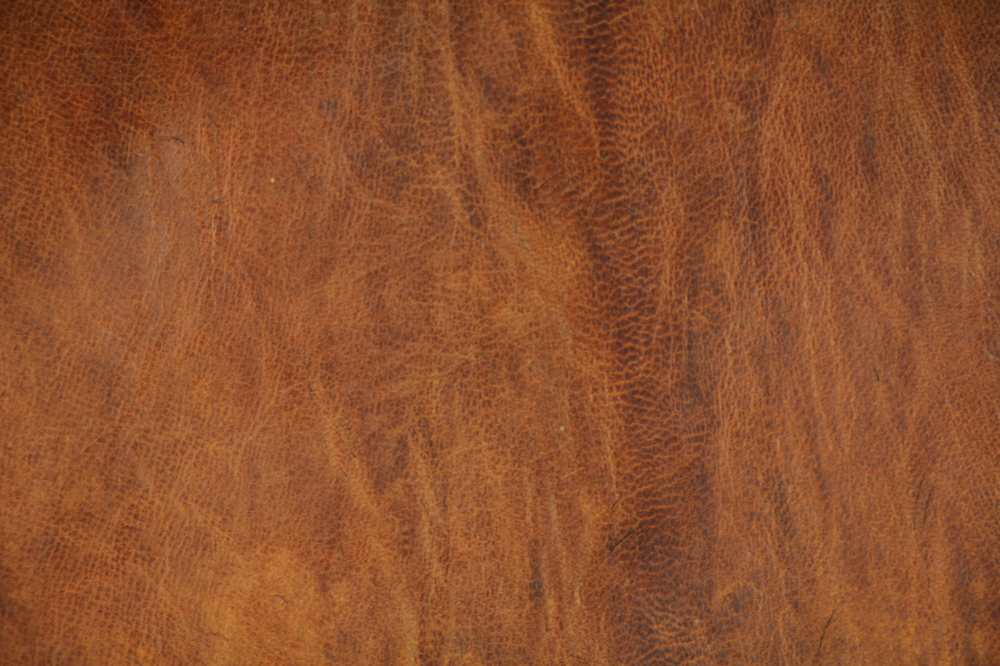Leather Texture Orange Material Smooth Genuine Cattle Photo