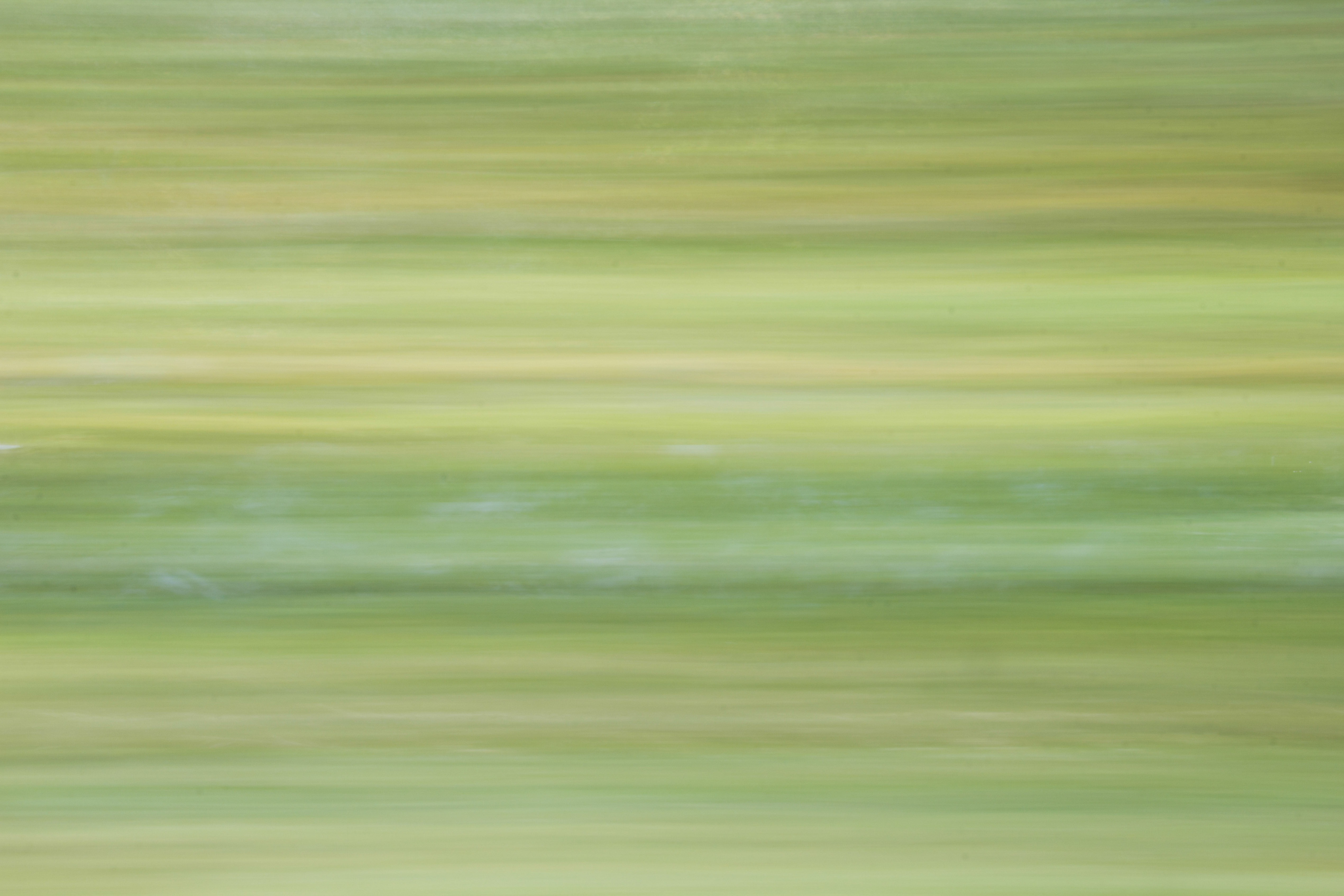 Light Green Texture Sreak Blur Driving Horizontal Desktop Wallpaper