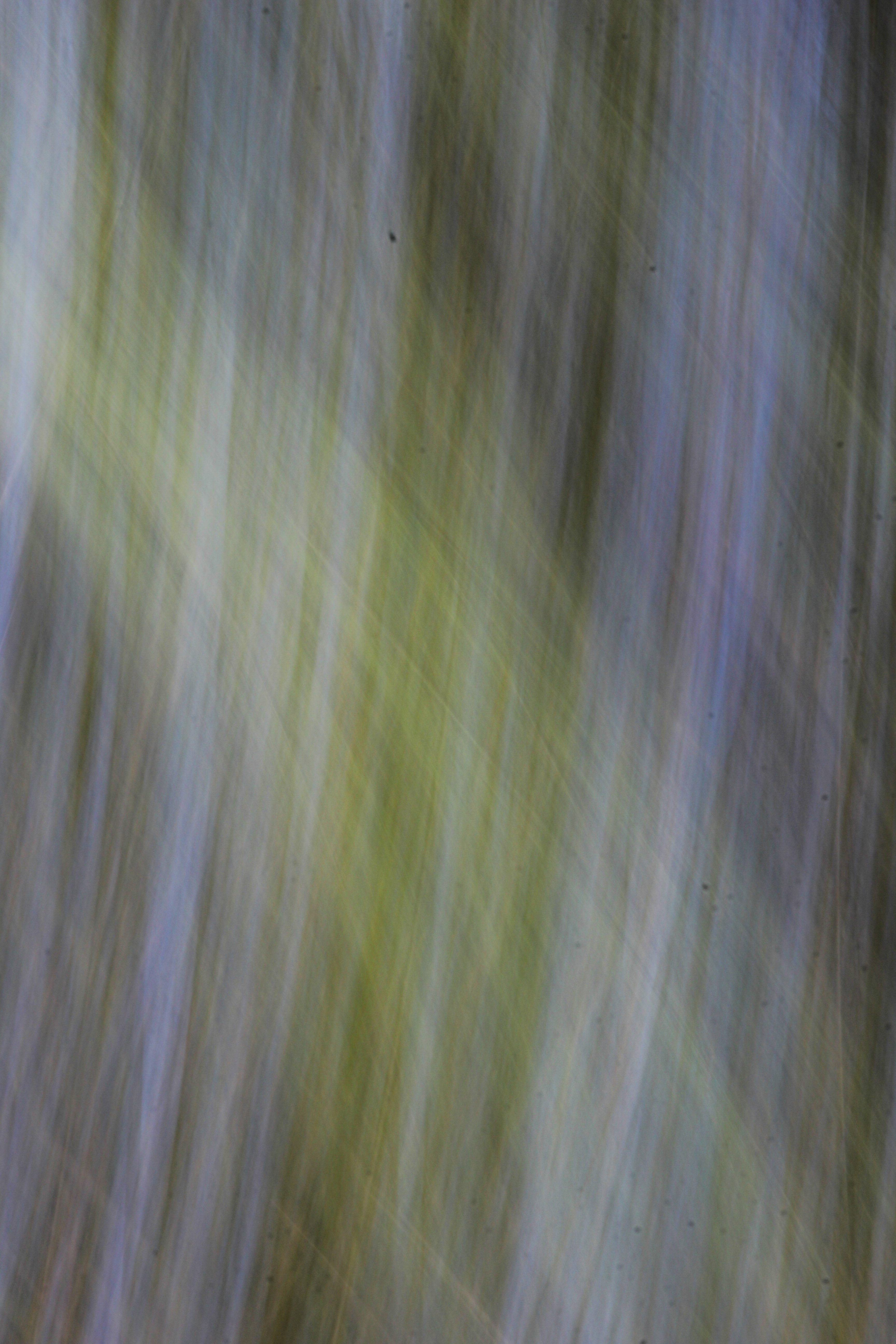 Light Texture Blur Fuzzy Faint Abstract White Green Photo