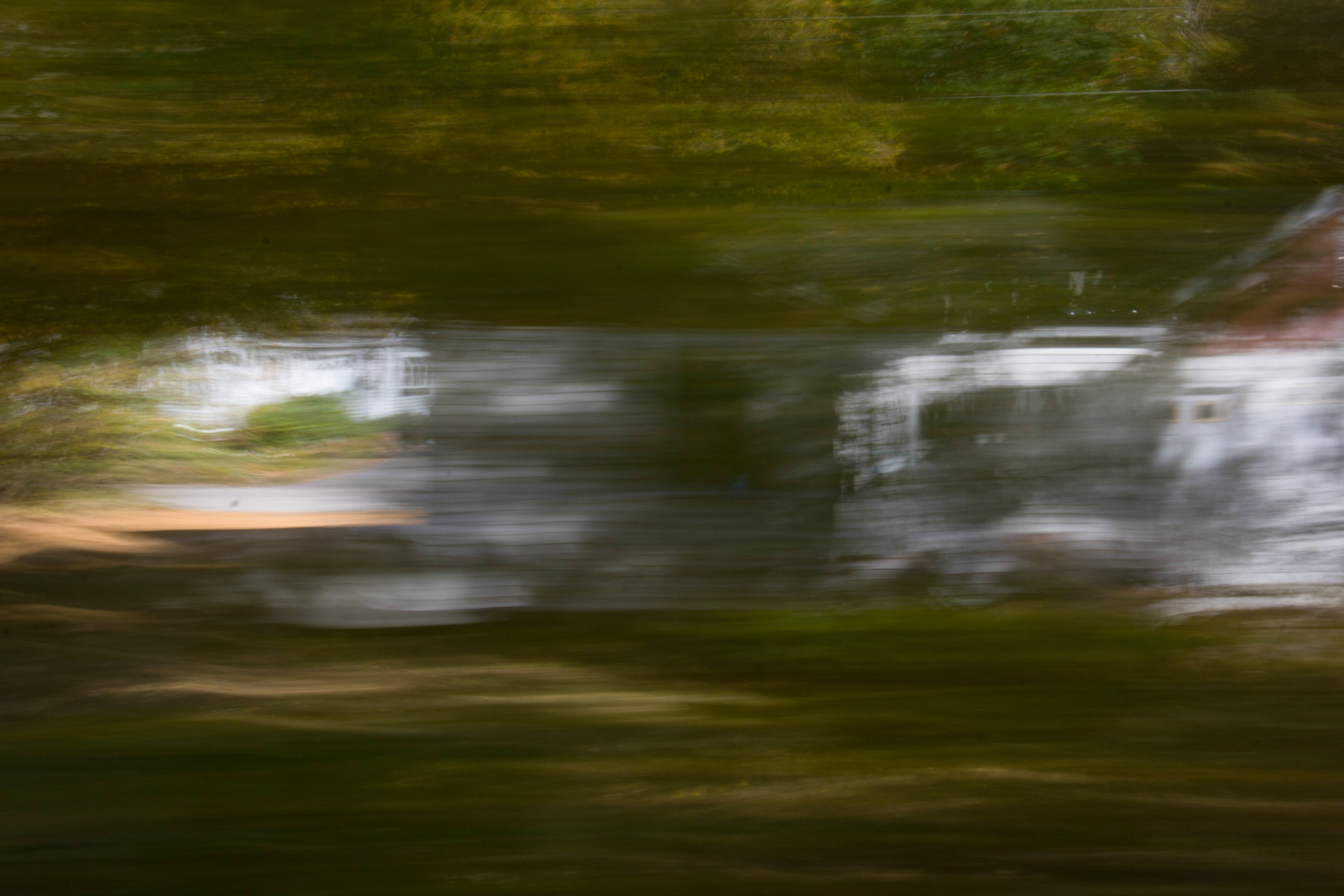 Light Texture Blur Streaking By Green Forest Stock Photo