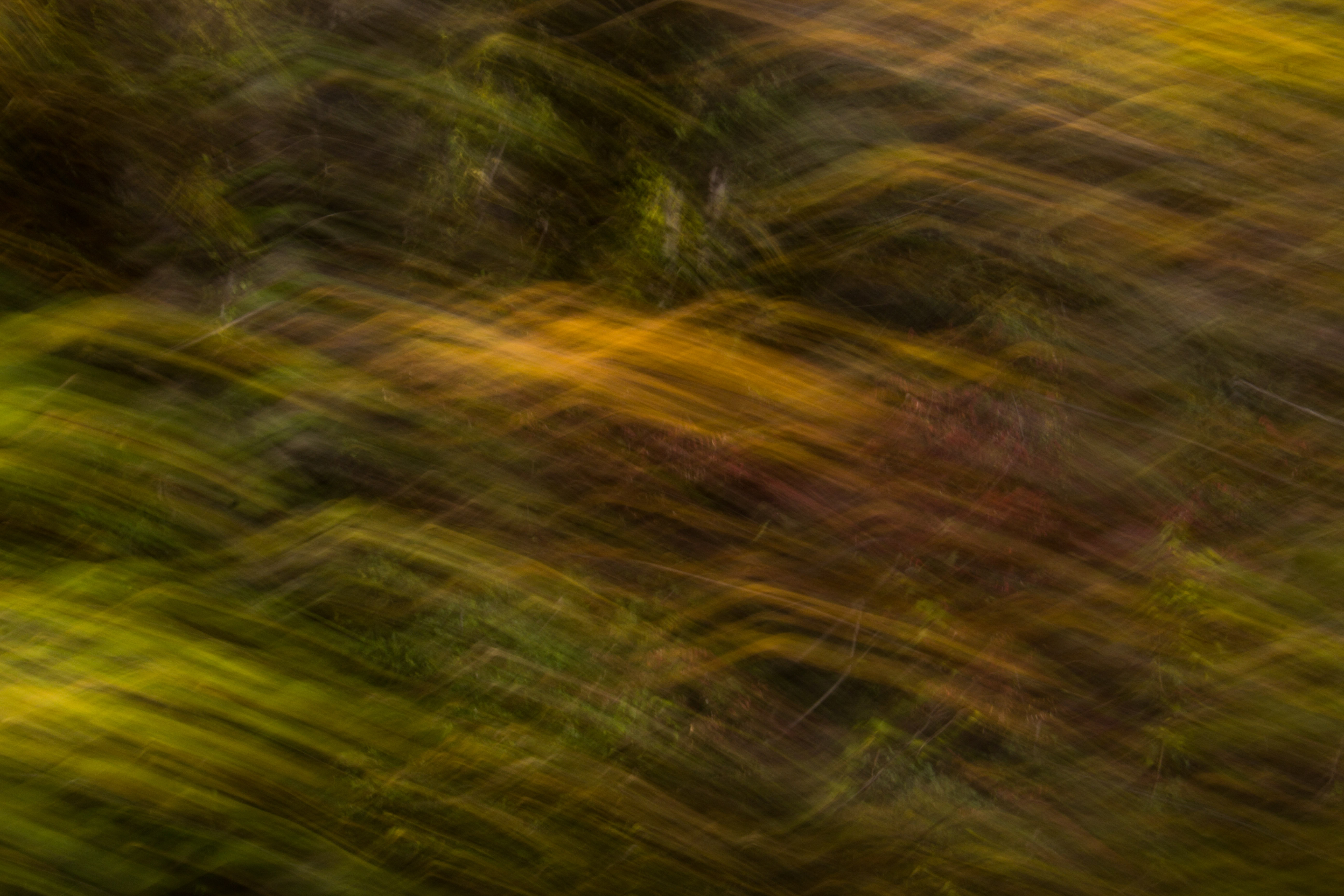 Light Texture Streaking Orange Green Blurry Fuzzy Moving Desktop Background