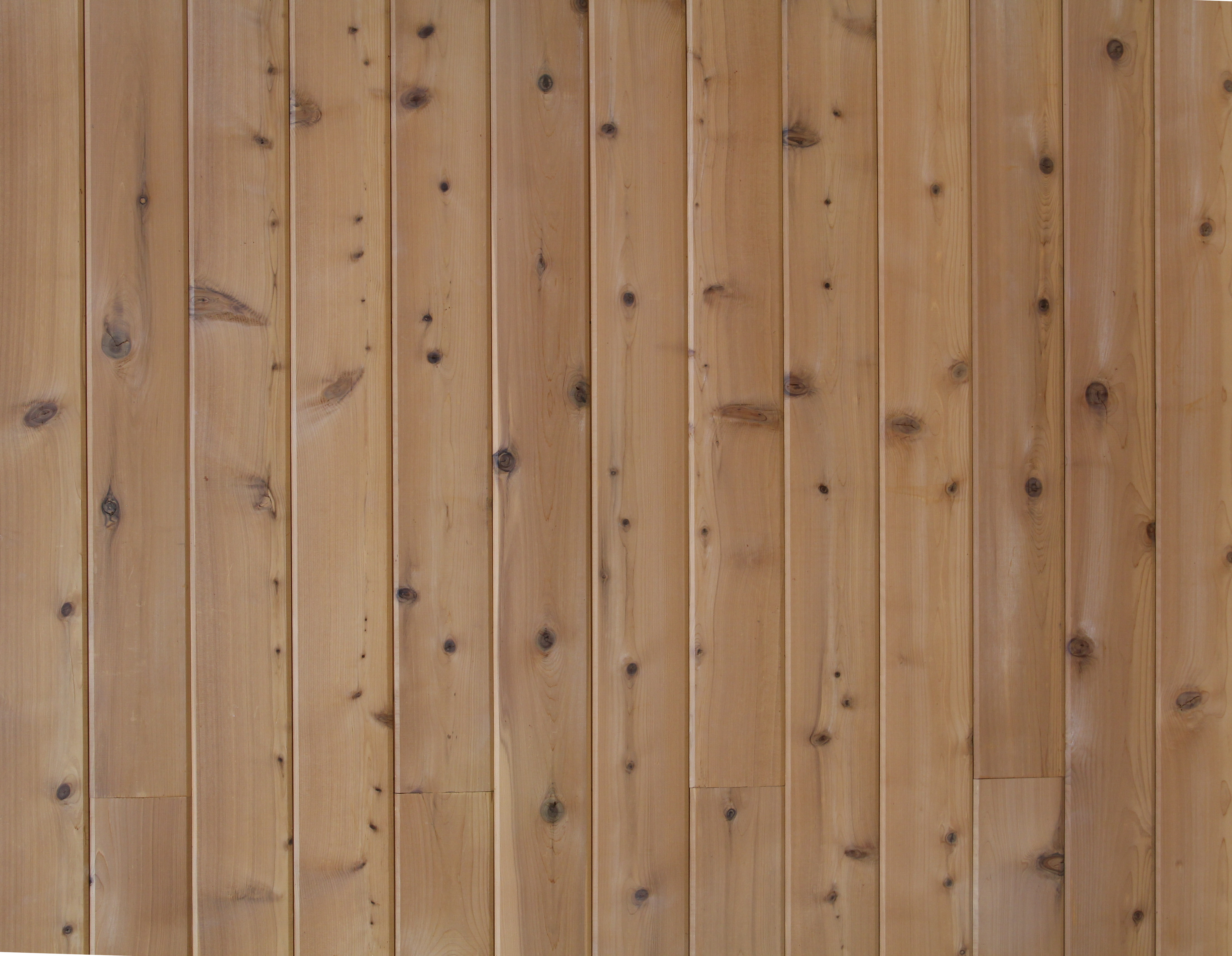 Light Wood Texture Mapel Wall Panel Stock Wallpaper Photo