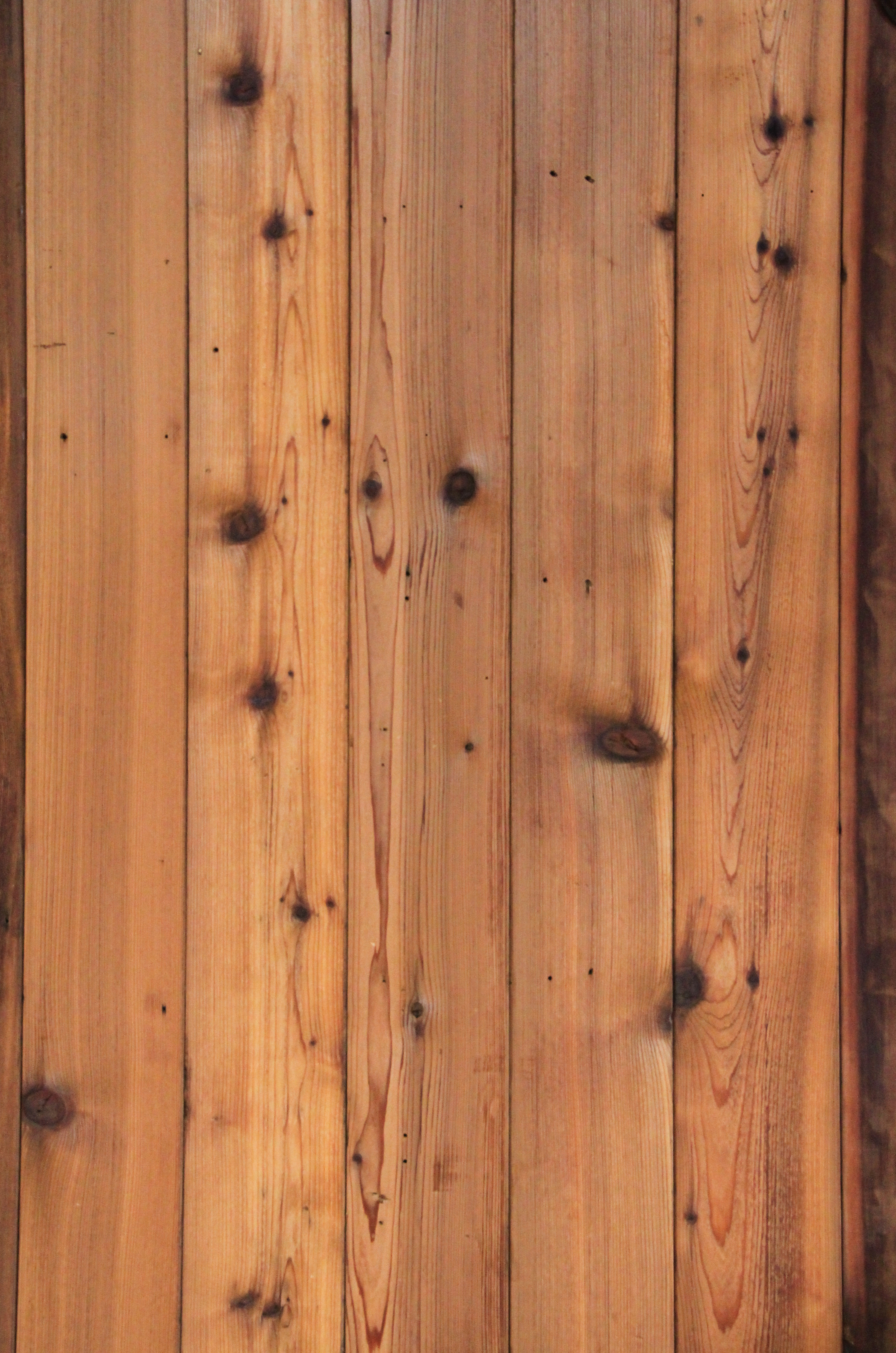 Natural Wood Texture Rough Grain Pine Panel Fence
