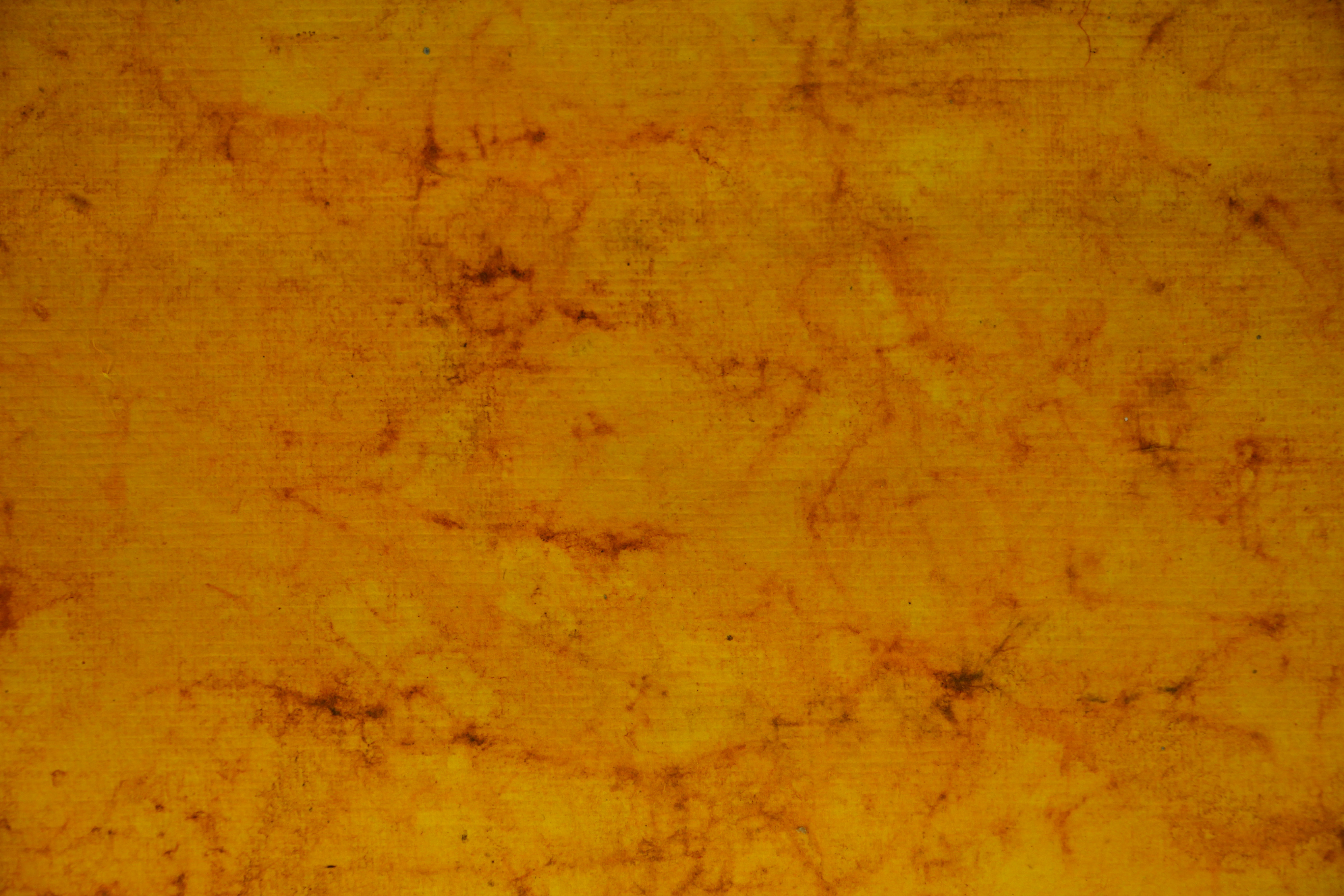 Orange Paper Texture Hand Made Pressed Pulp Custom Wallpaper Photo