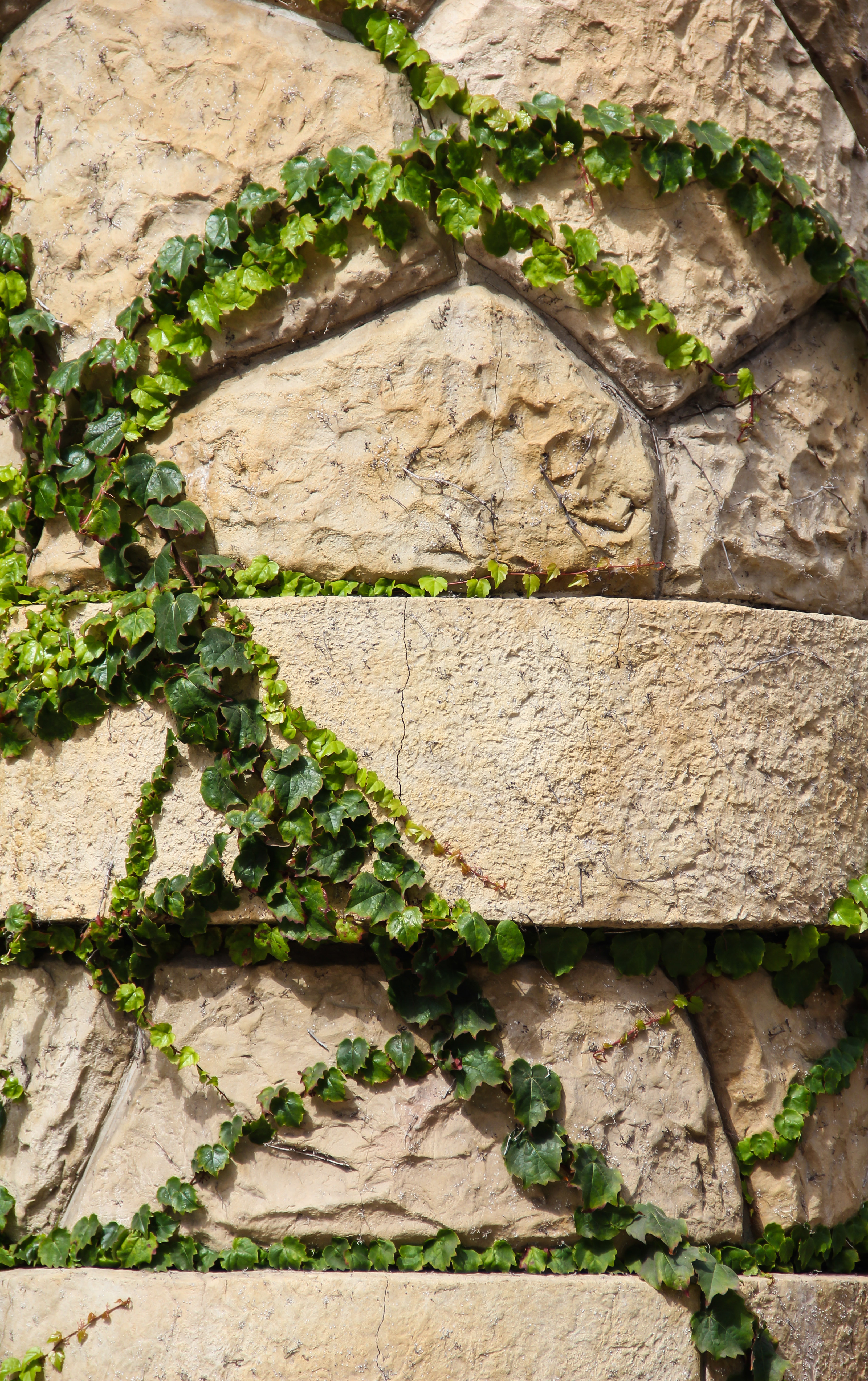 Rock Pillar Texture Ivory Brick Stone Stock Image Green Vine