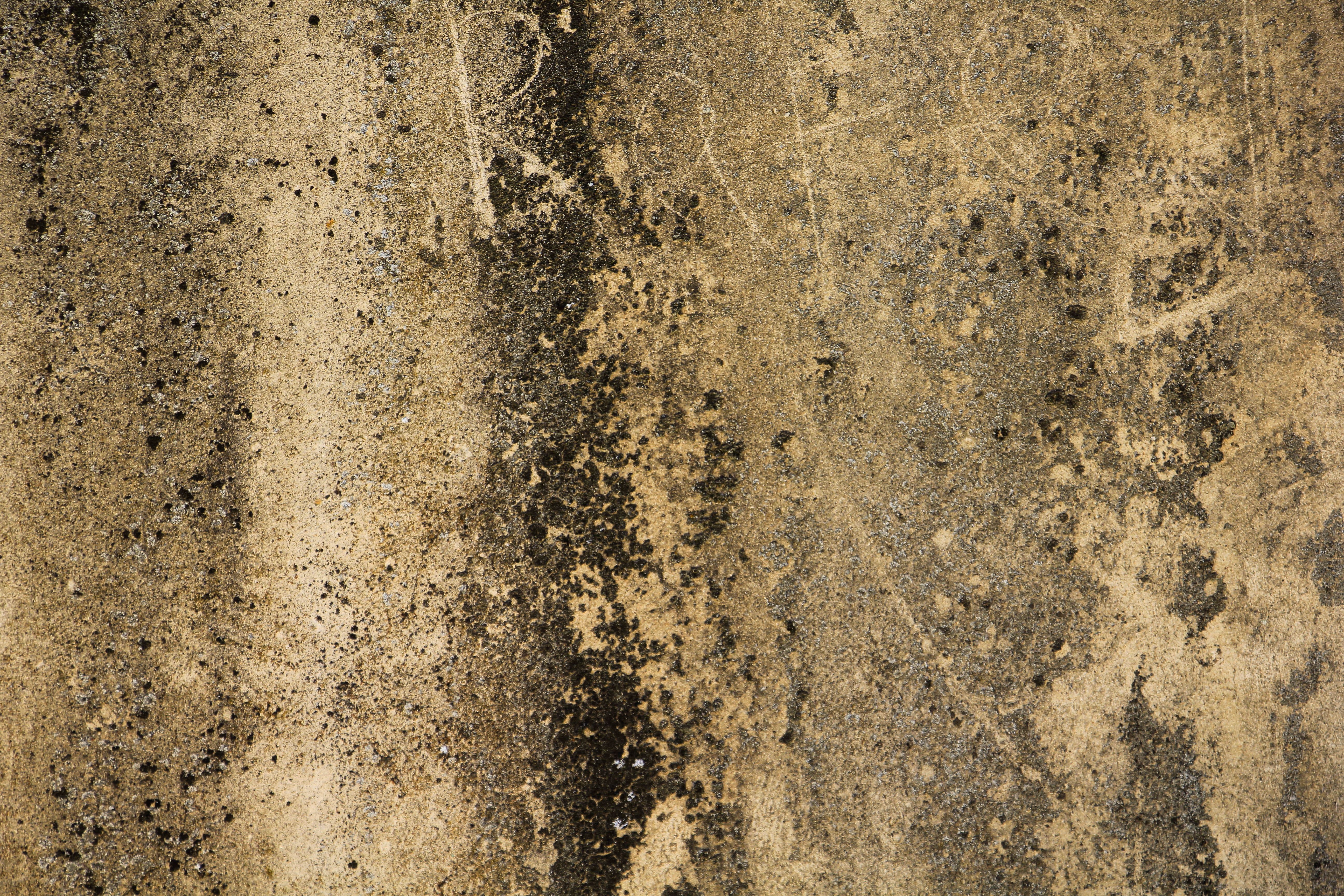 Rough Grunge Texture Chipped Scratched Stone Wall Old Growing Brown Surface Stock