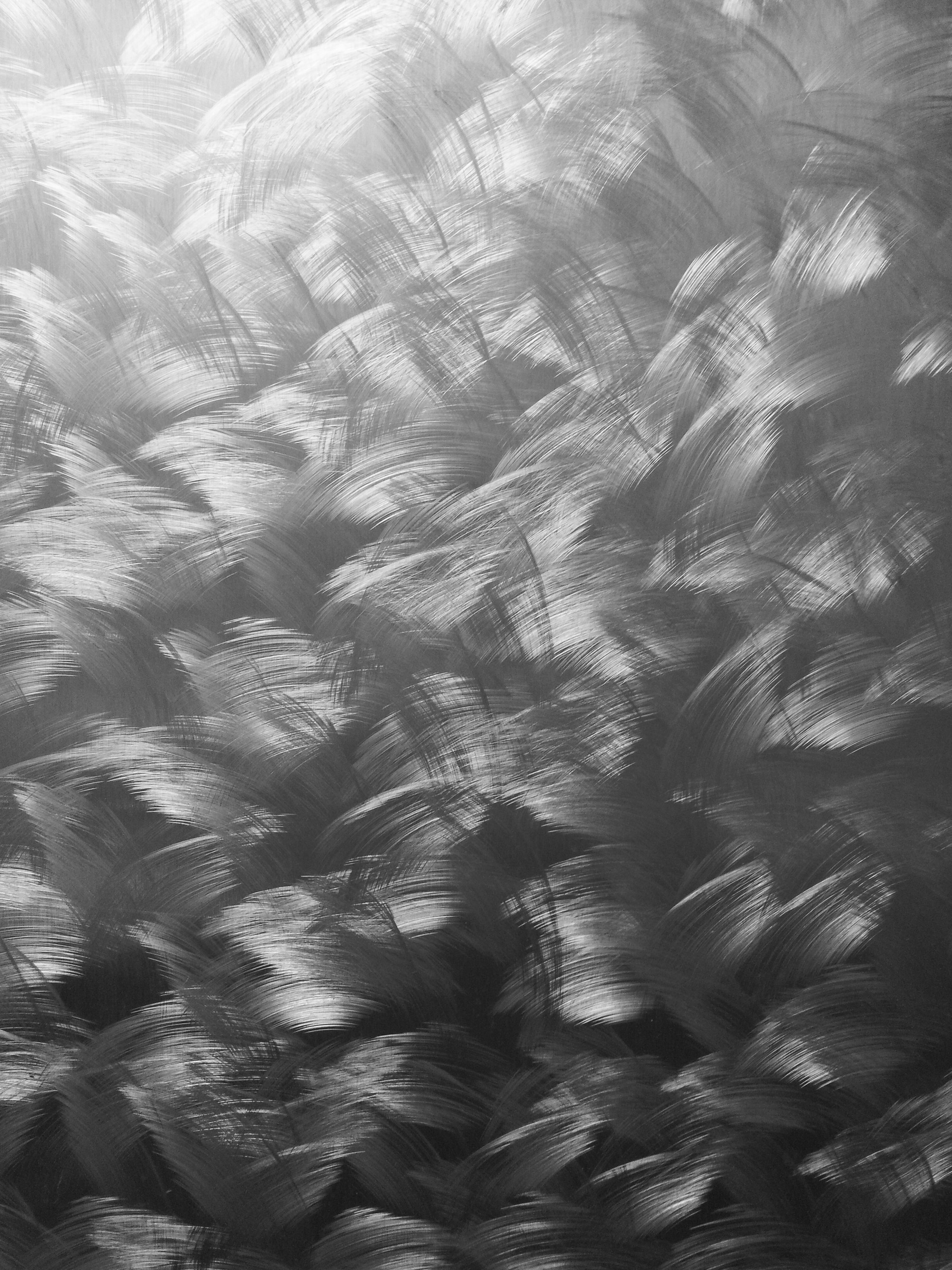 Sanded Metal Texture Brushed Swirl Stainless Steel Photo