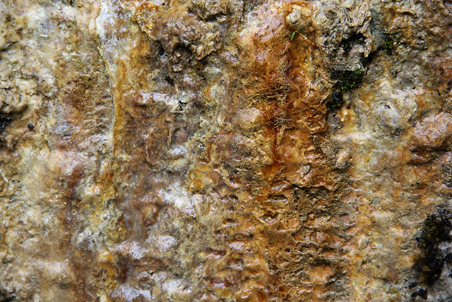 Texturex Lime Calcium Deposit Gross Grunge Ugly Nasty Texture