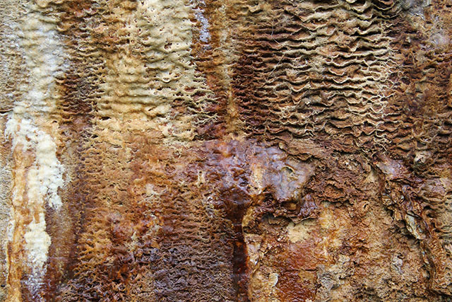 Texturex Lime Calcium Deposit Ugly Grunge Slimey Texture