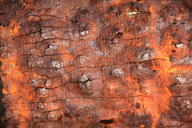 Texturex Rust Texture Heavy Rusted Rion Steel Grunge Dirty Texture