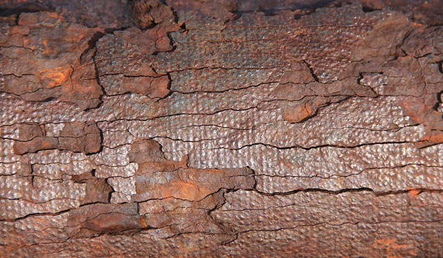Texturex Rusty Metal Texture Thick Deposit Oxidize Steel Iron Texture