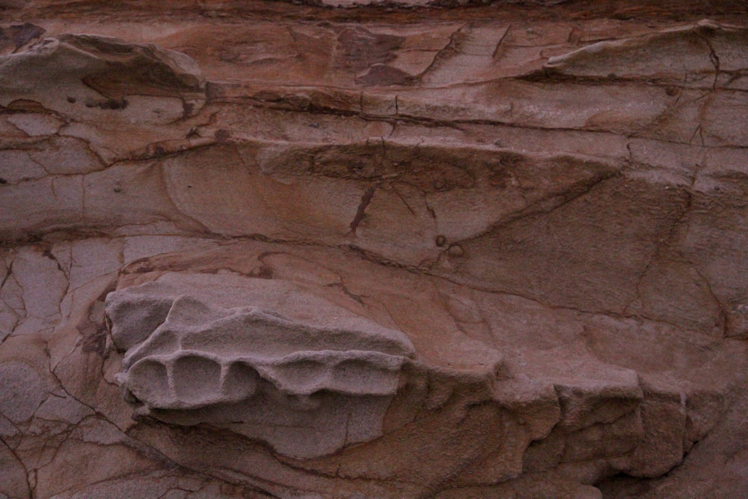 Texturex Sand Stone Dimples Salt Red Brown Layered Rough City Texture