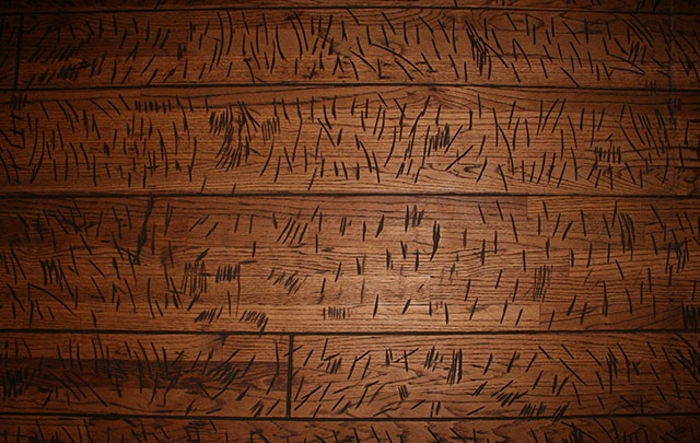 Texturex Scratched Wood Floor Stock Grunge Texture