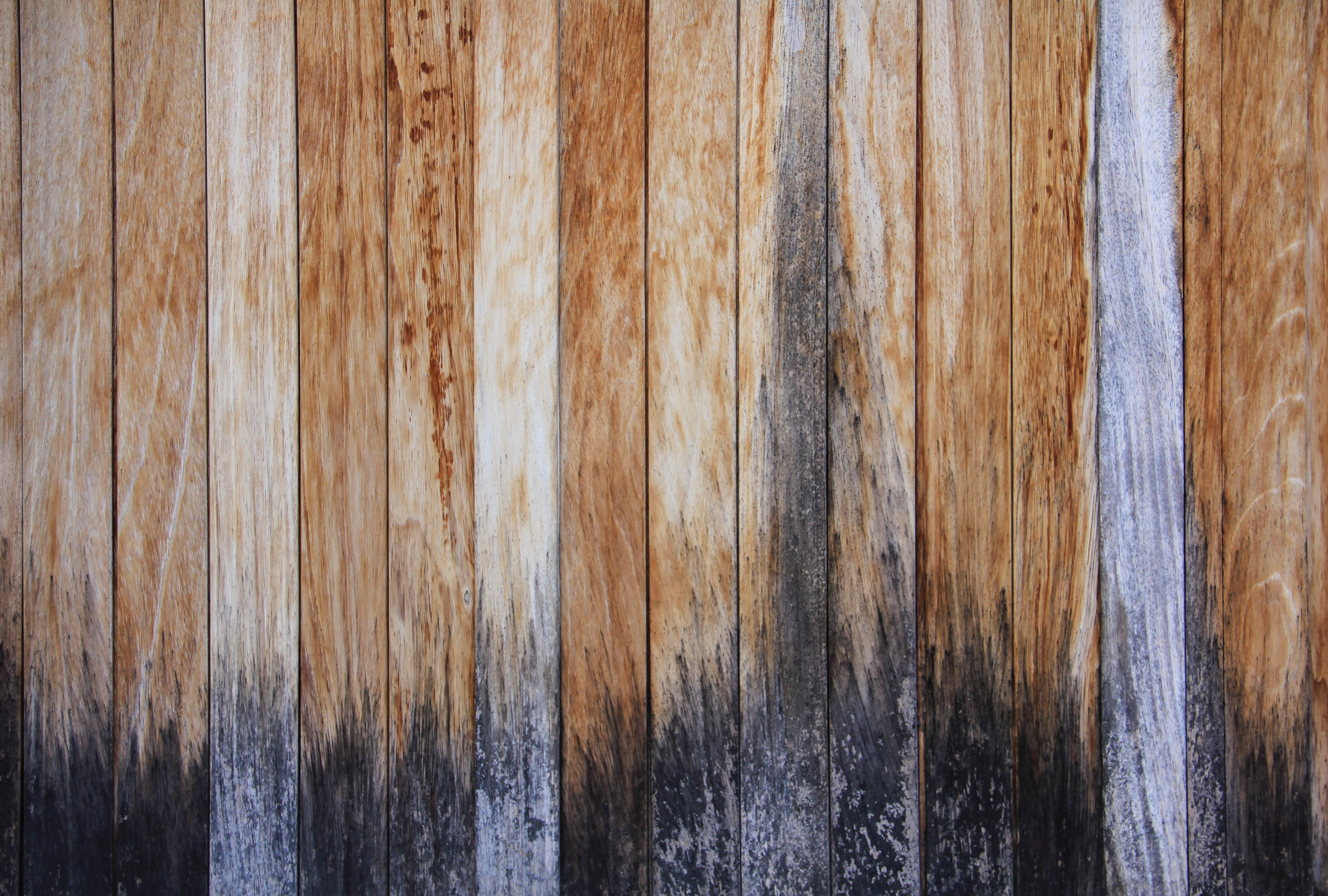 Wood Texture Fence Stained Multi Colored Stock Wallpaper