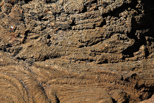 Wood Texture Folded Bark Flow Oak Ripple Crust Armor Stock Photo