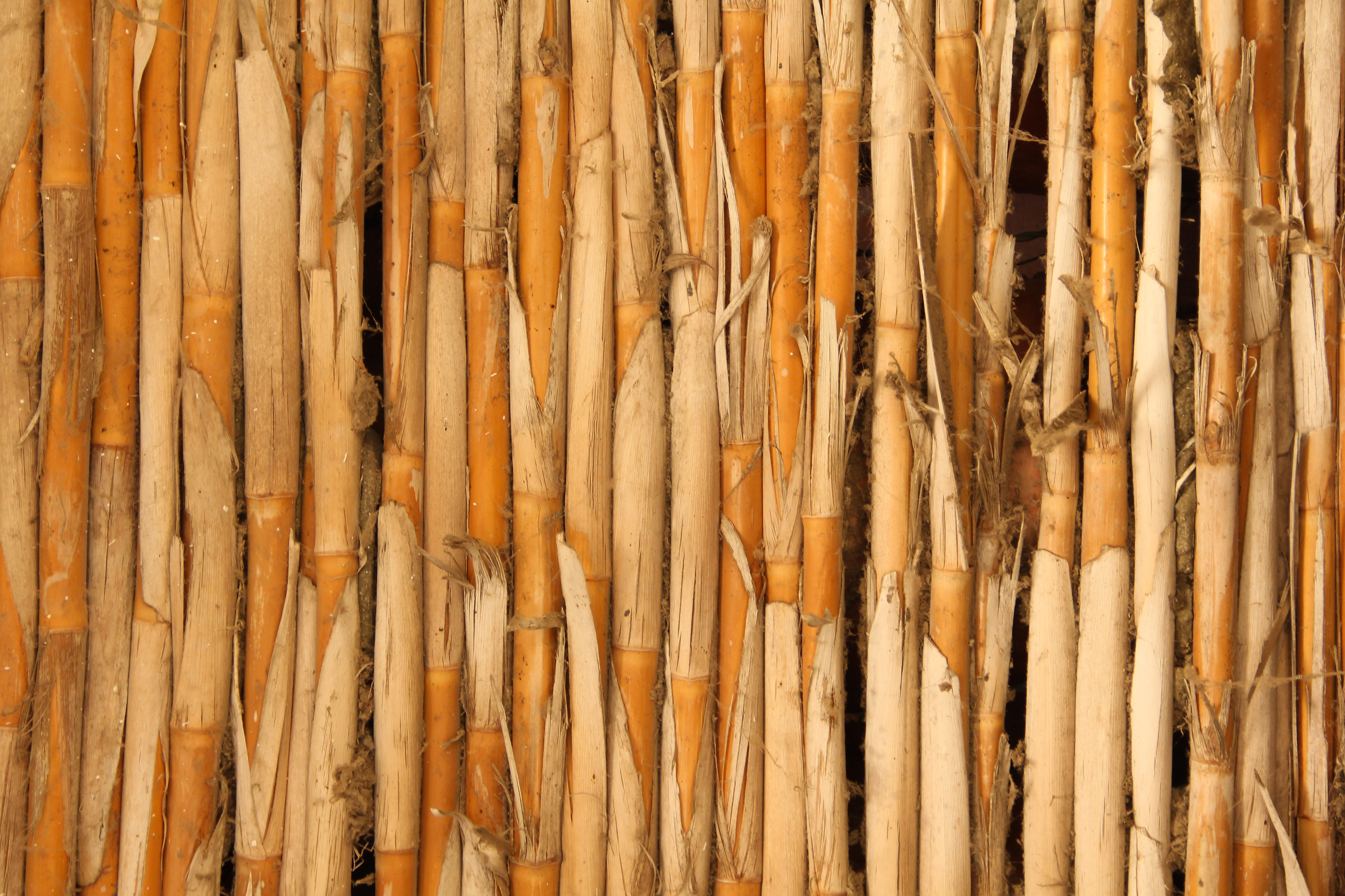 Wood Texture Stick Fence Bamboo Grass Natural Stock Photo