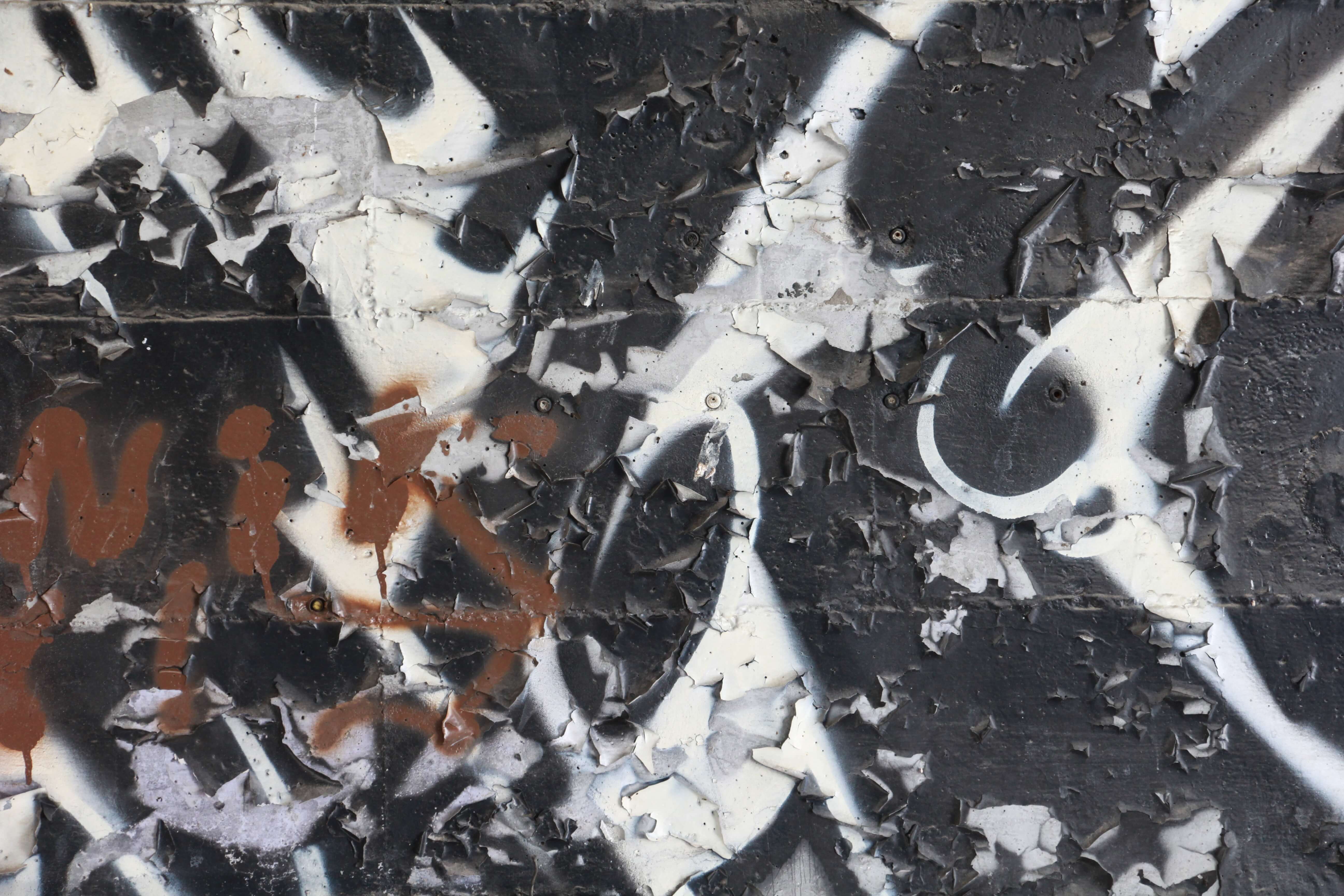 Black White Assorted Spray Paint Graffiti