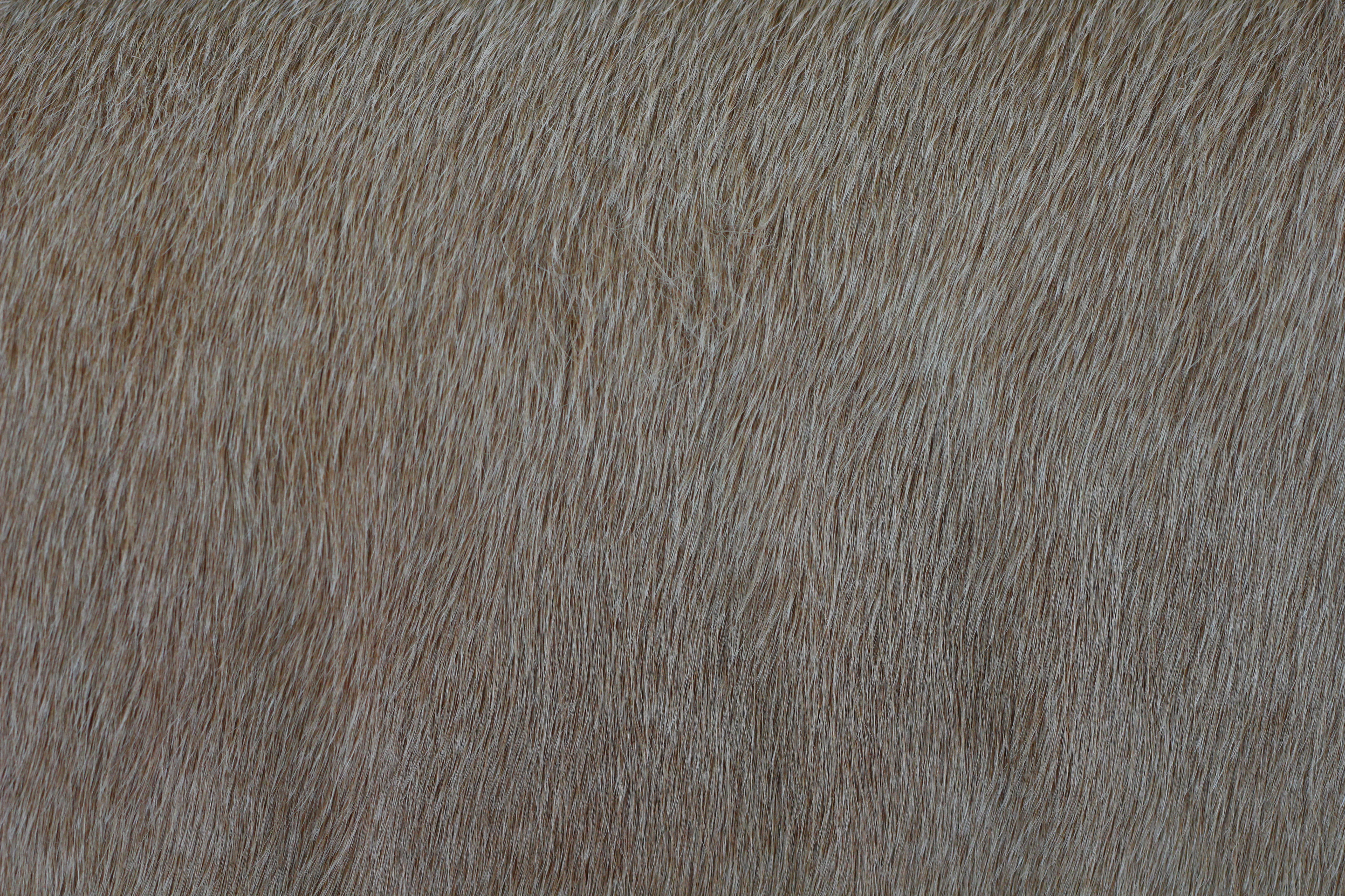 Fabric Artificial Hair Pattern Texture