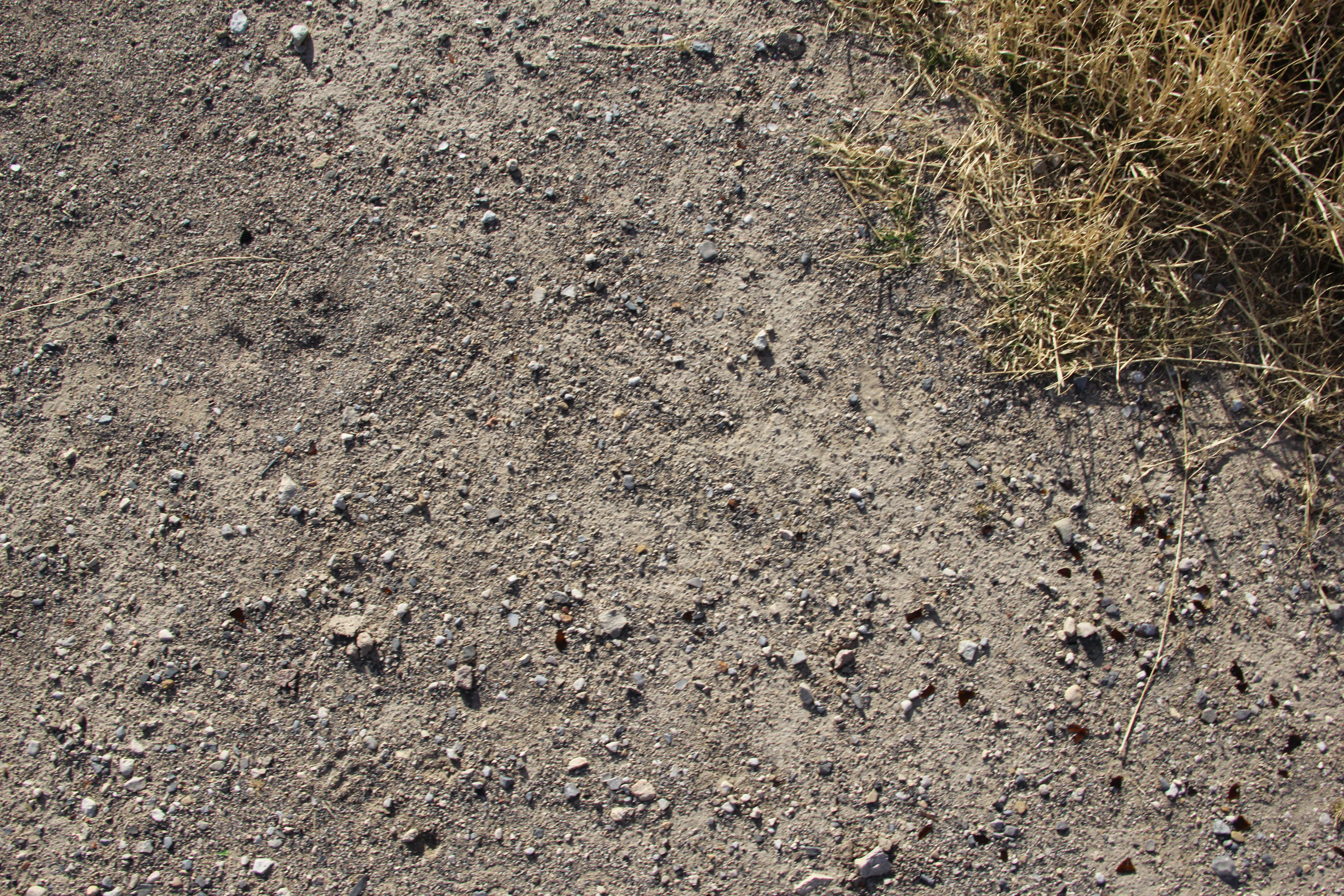 Ground Mountain Hike Clean