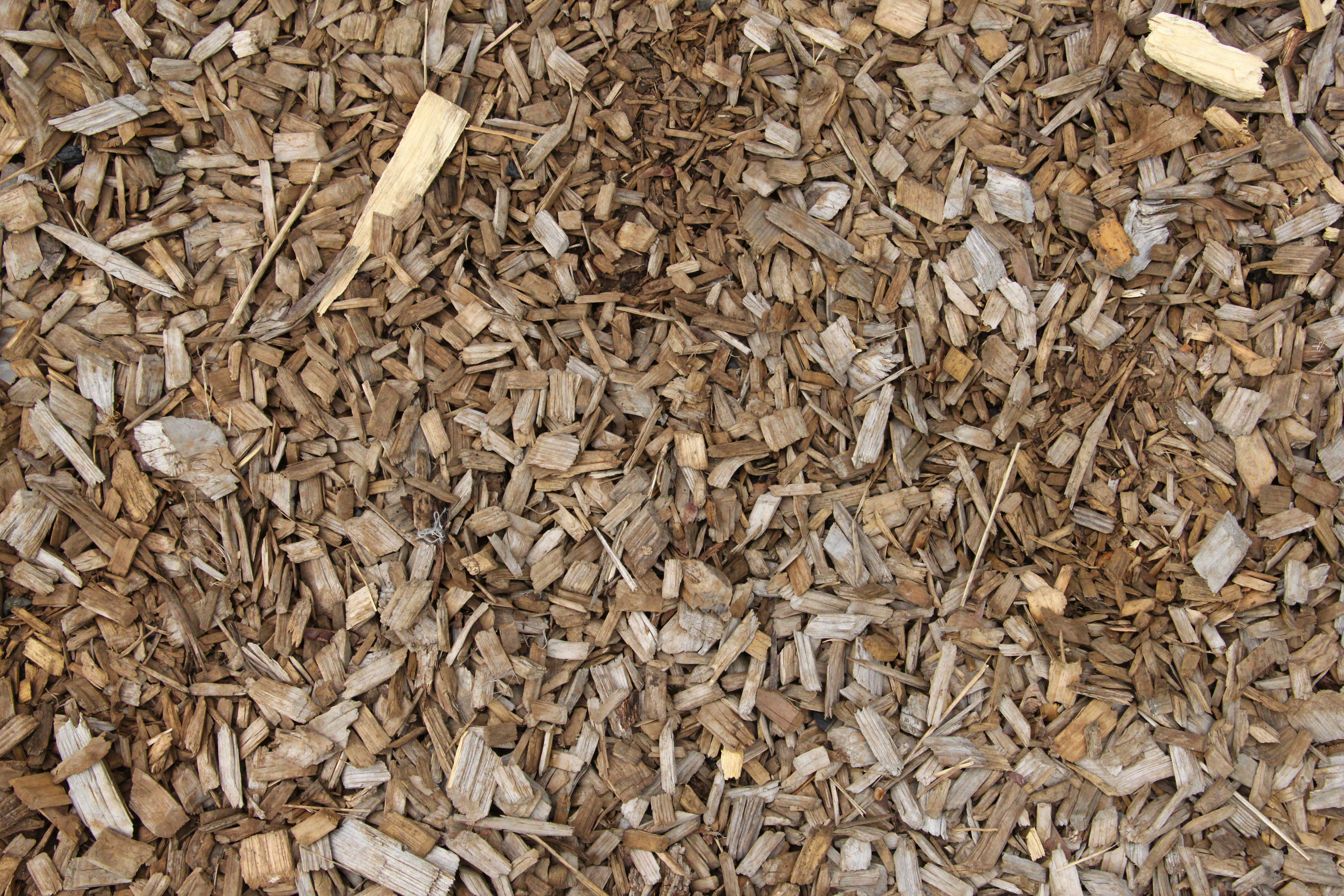 Ground Outside Dirt With Broken Branches