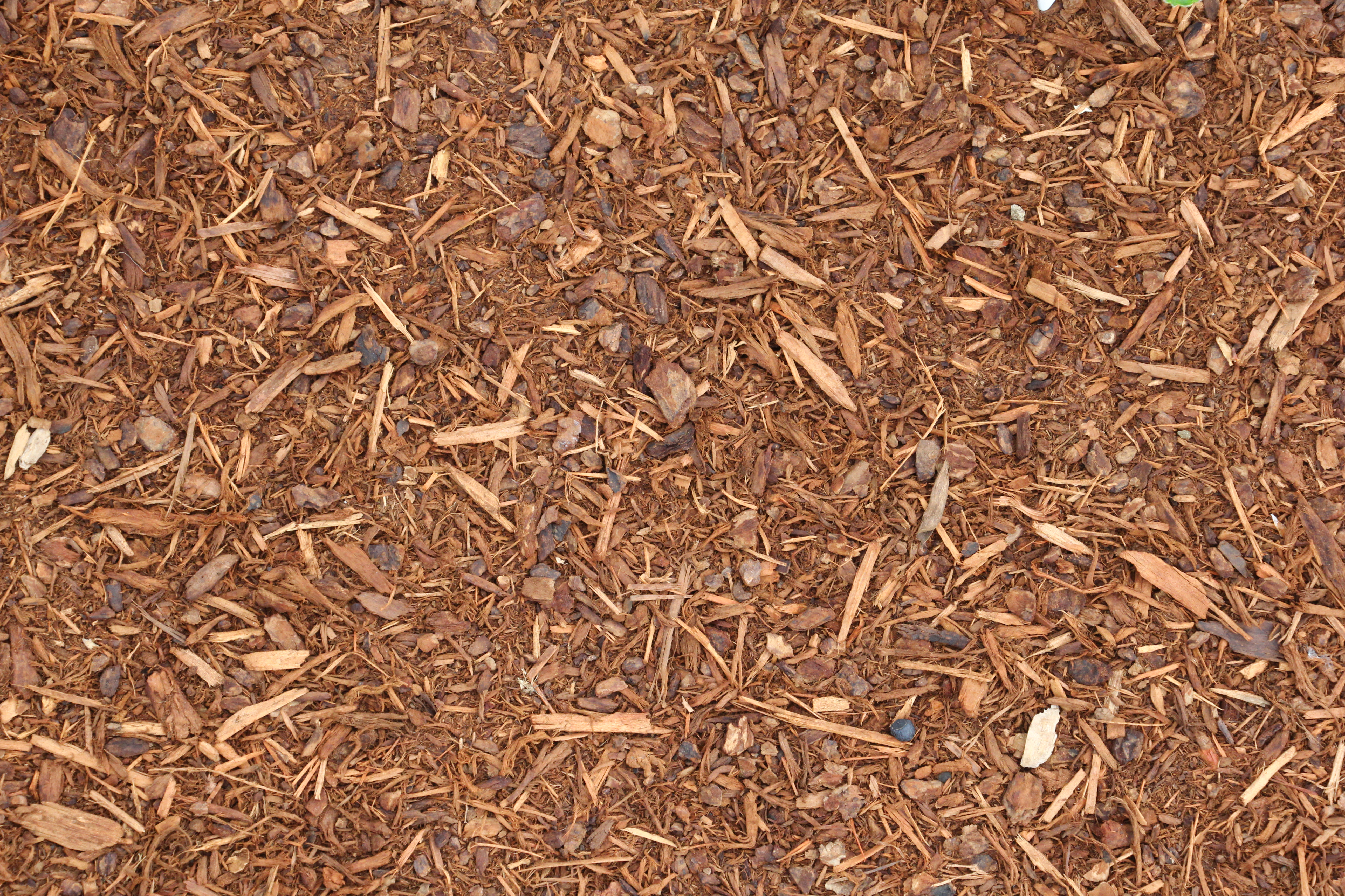 Ground Outside Texture Wood Chips Spread